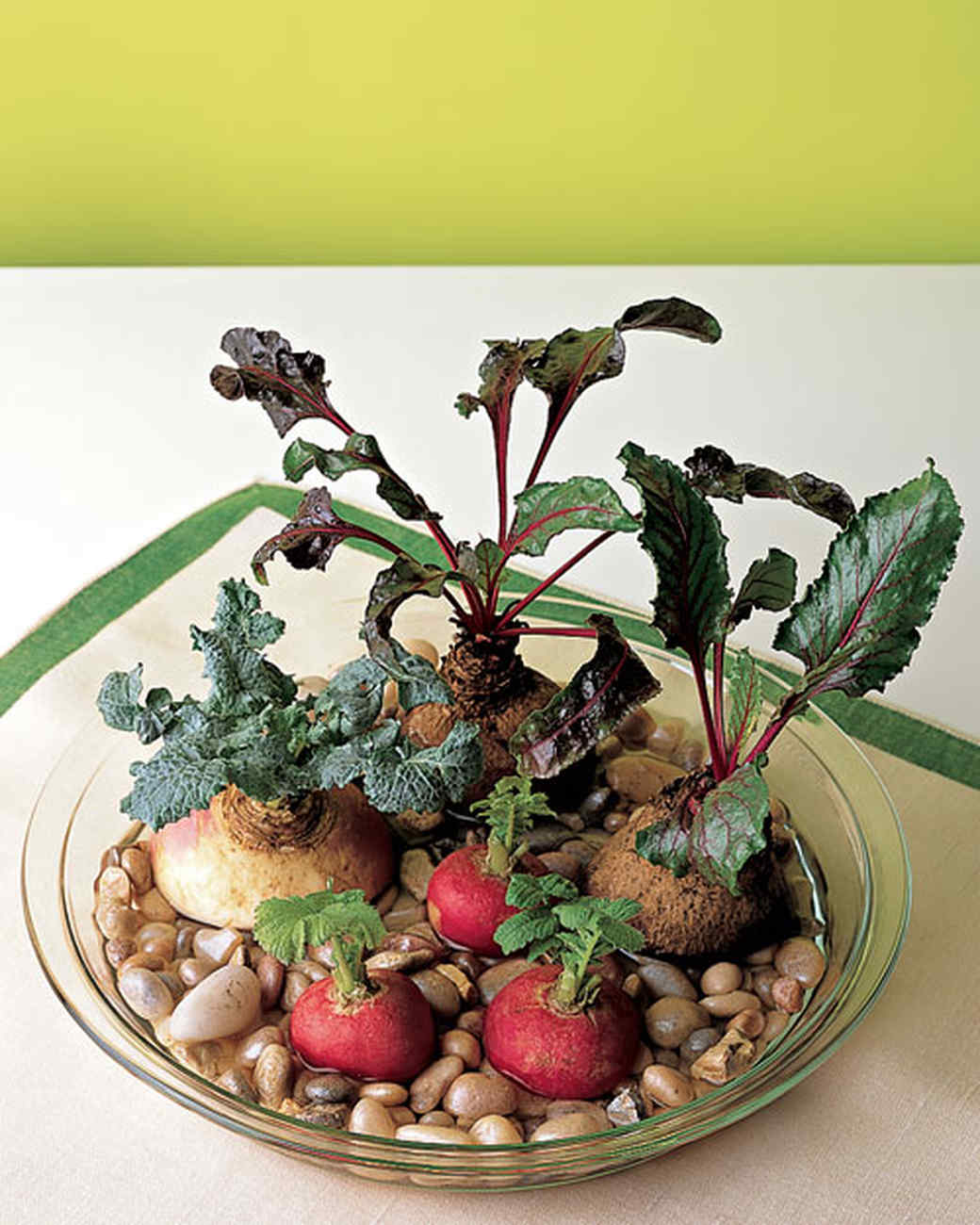 Garden in a Jar | Martha Stewart