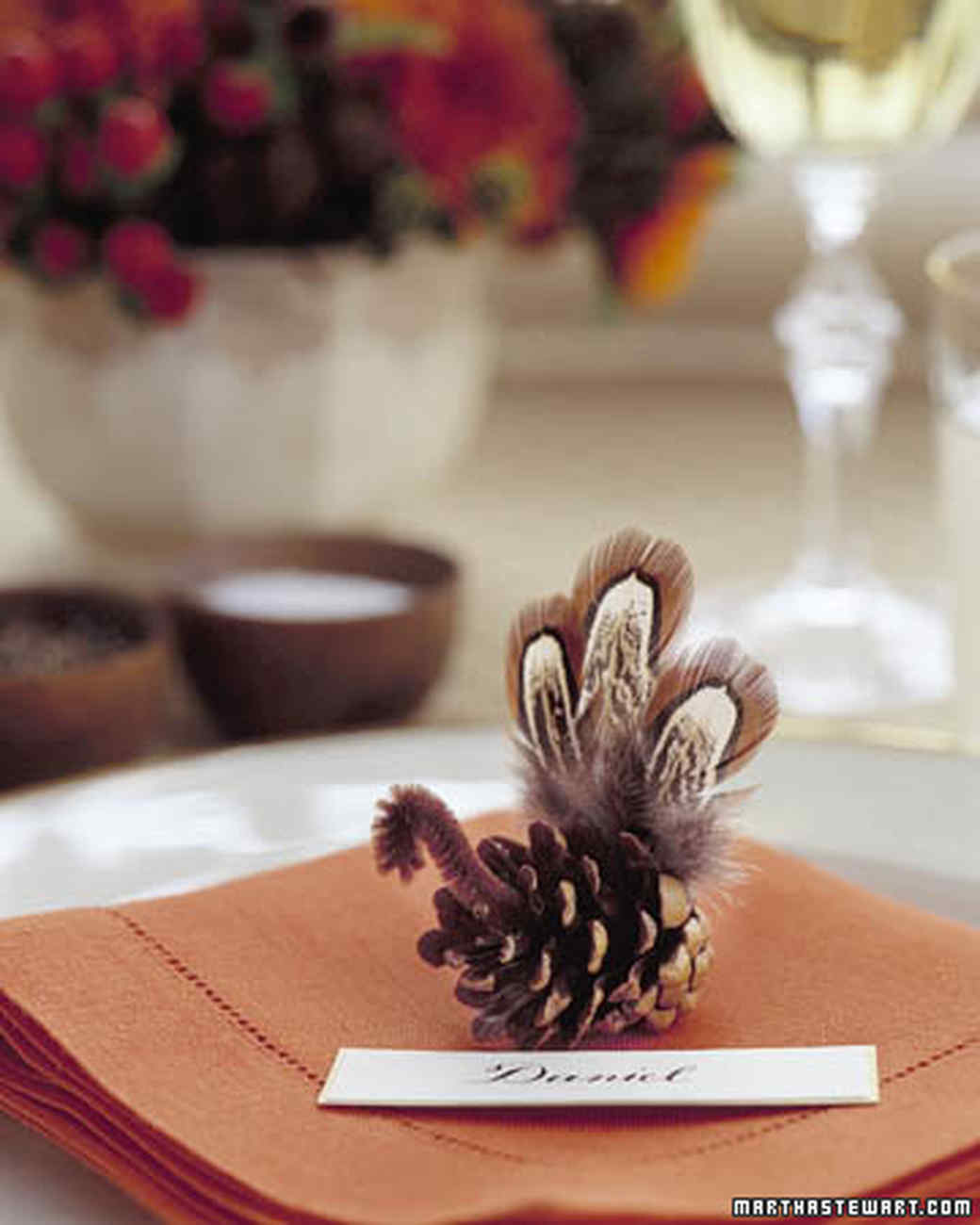 Pinecone Turkey Pinecone Turkey