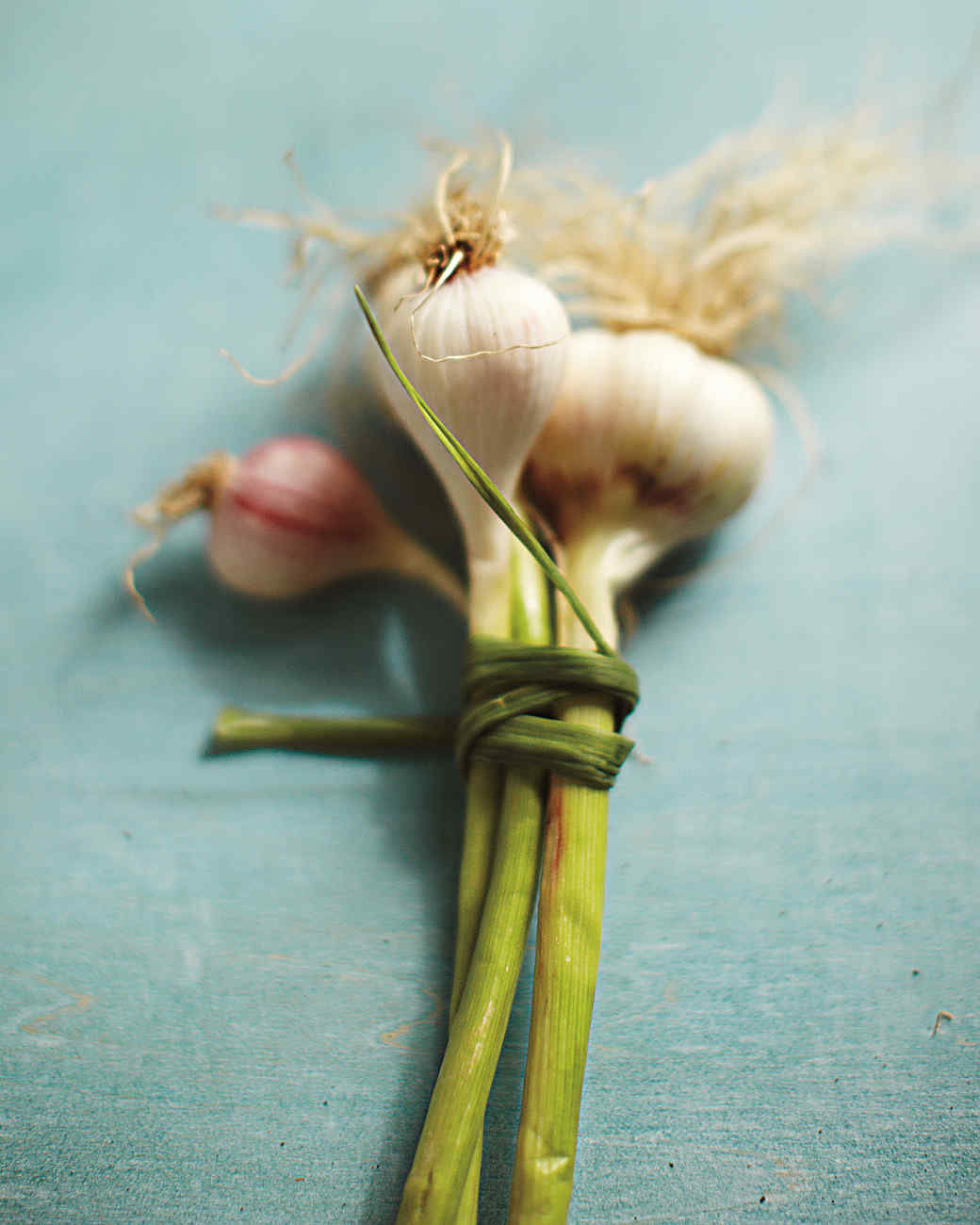 The Early Onion Martha Stewart