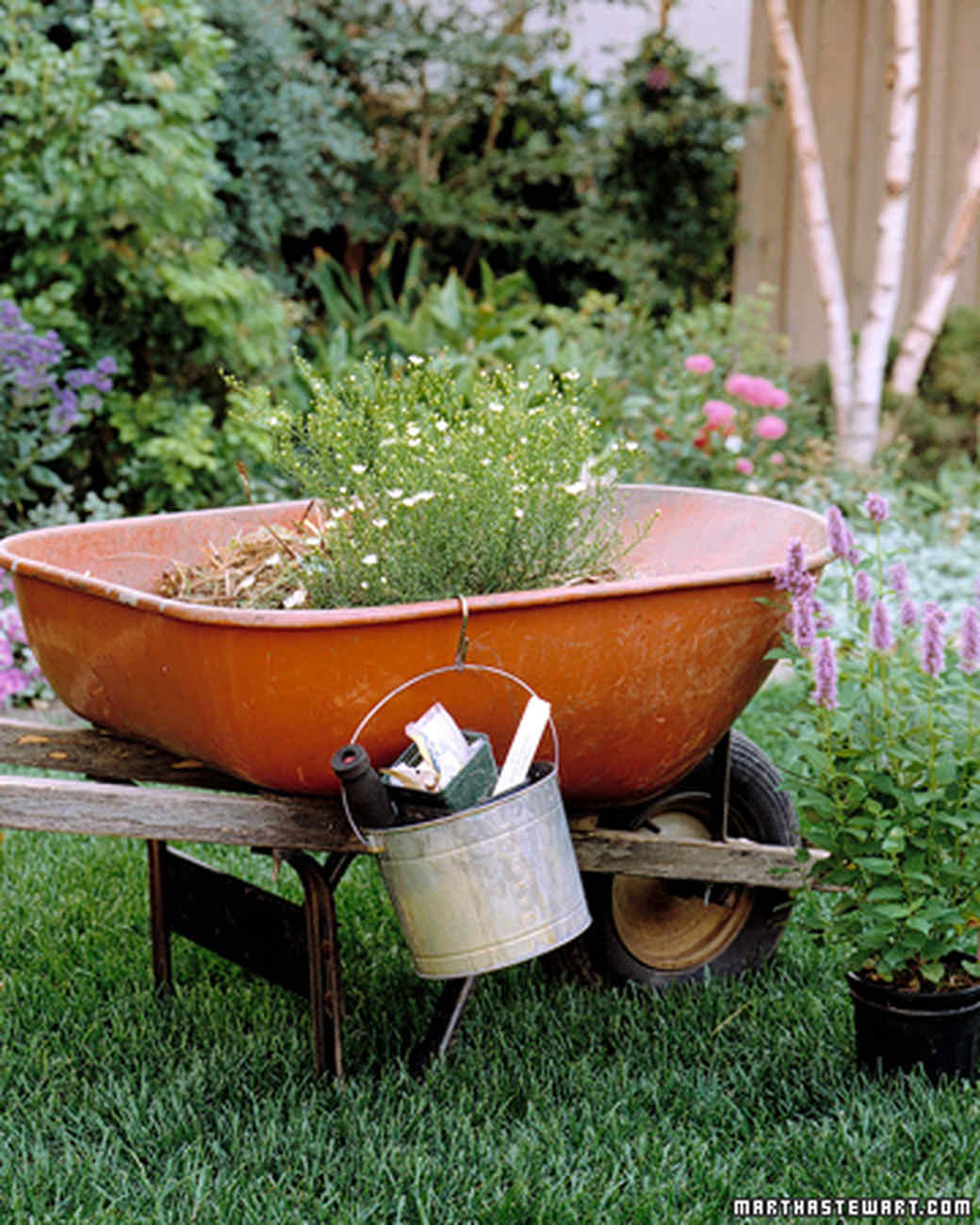 Garden Tool Glossary Martha Stewart