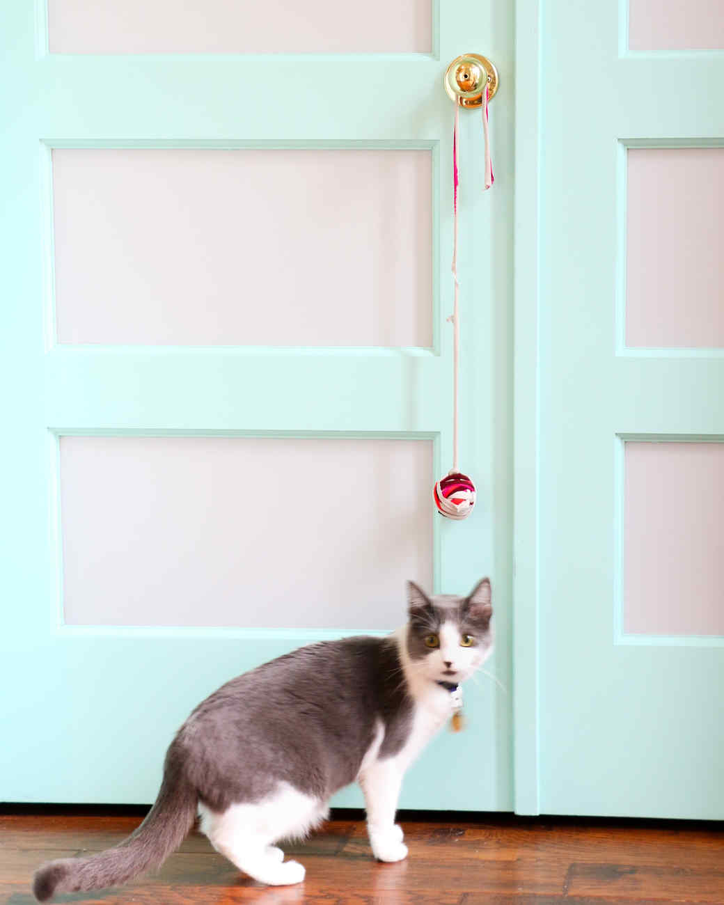 door cat toy