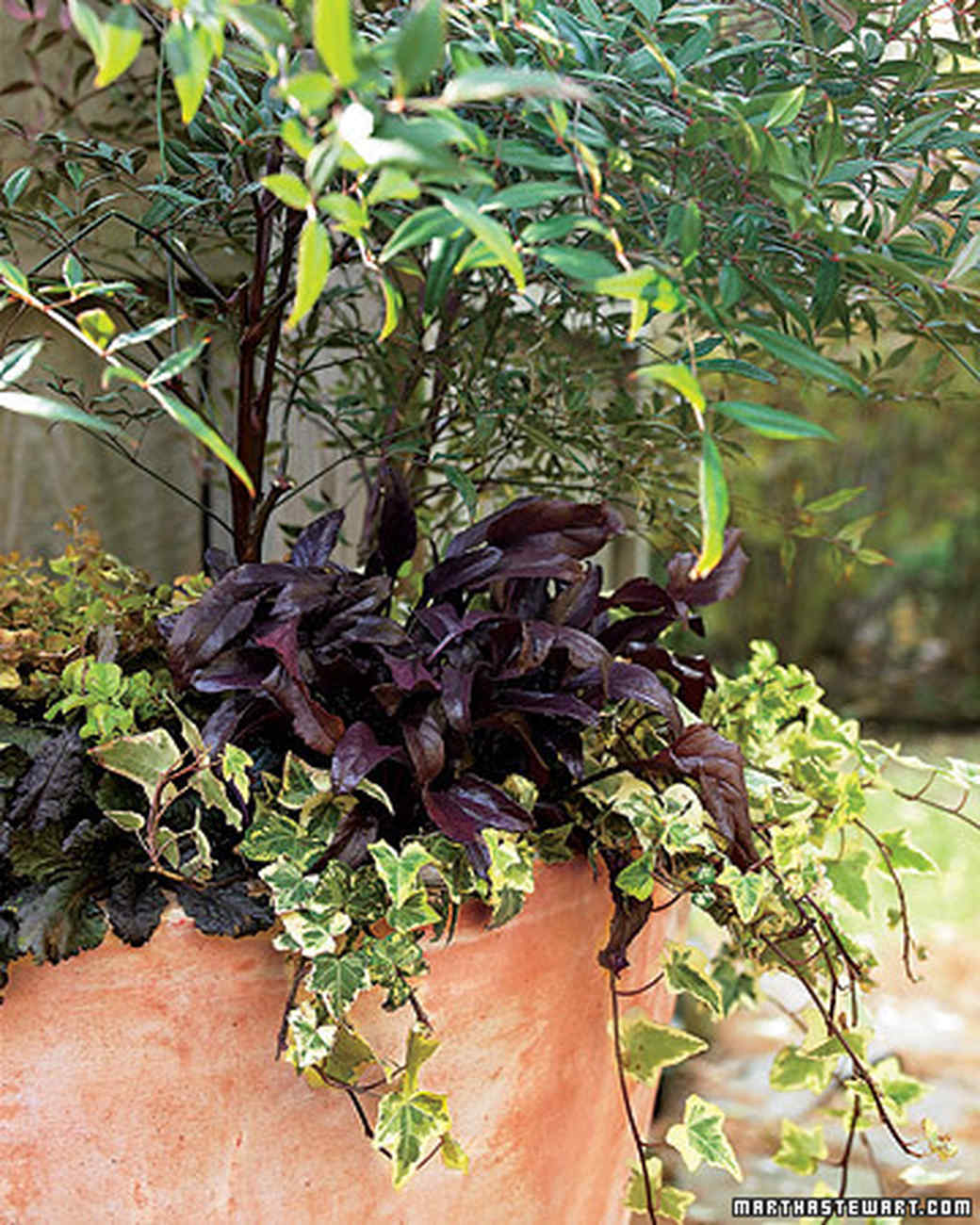 Autumnal Container Gardens | Martha Stewart