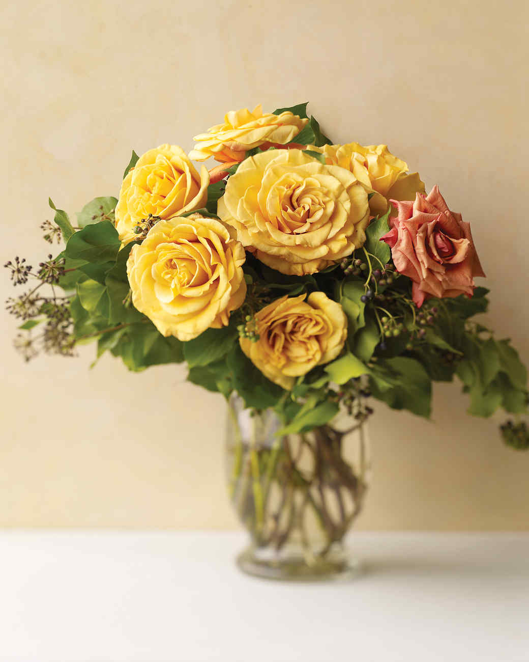 Vivid Martha Stewart Planting Roses Photo for Mobile Vivid Martha Stewart Planting Roses Photo for Mobile