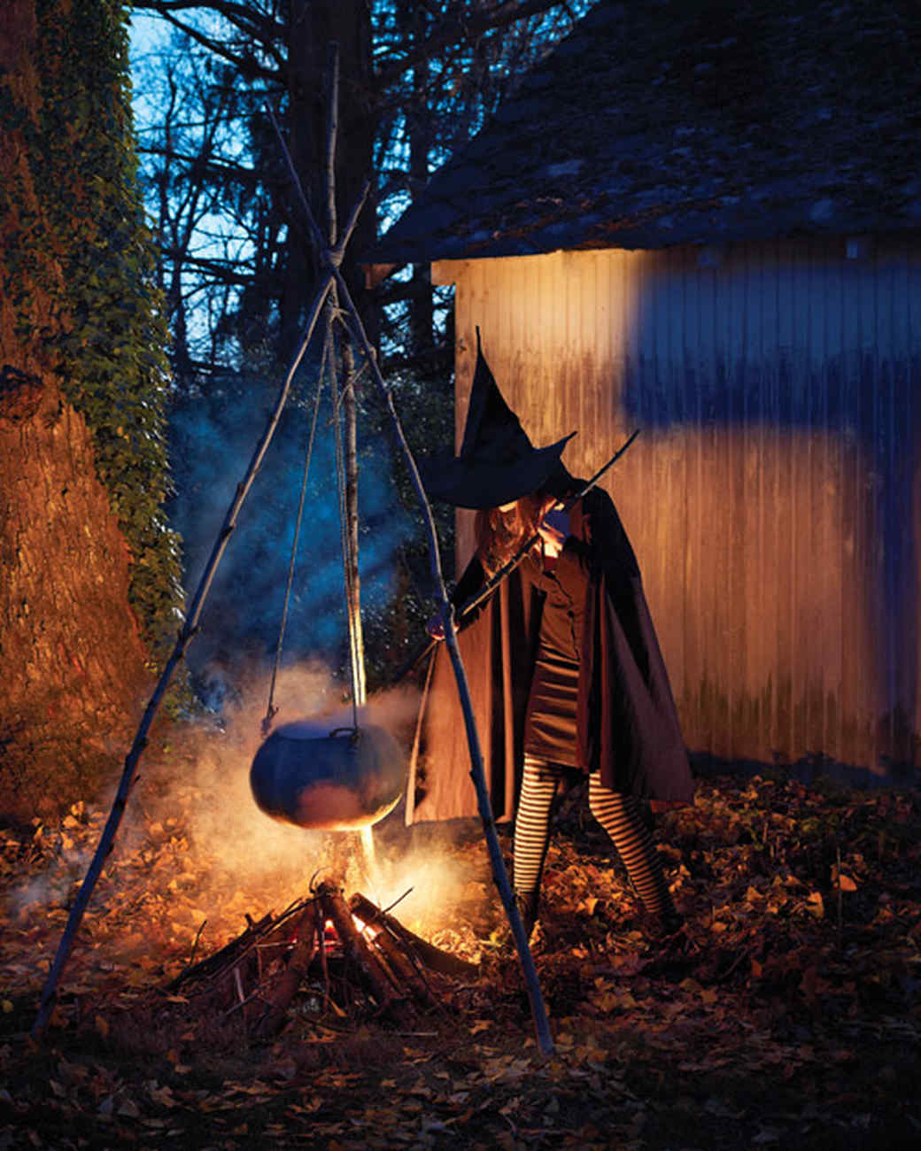 Witch's Cauldron | Martha Stewart