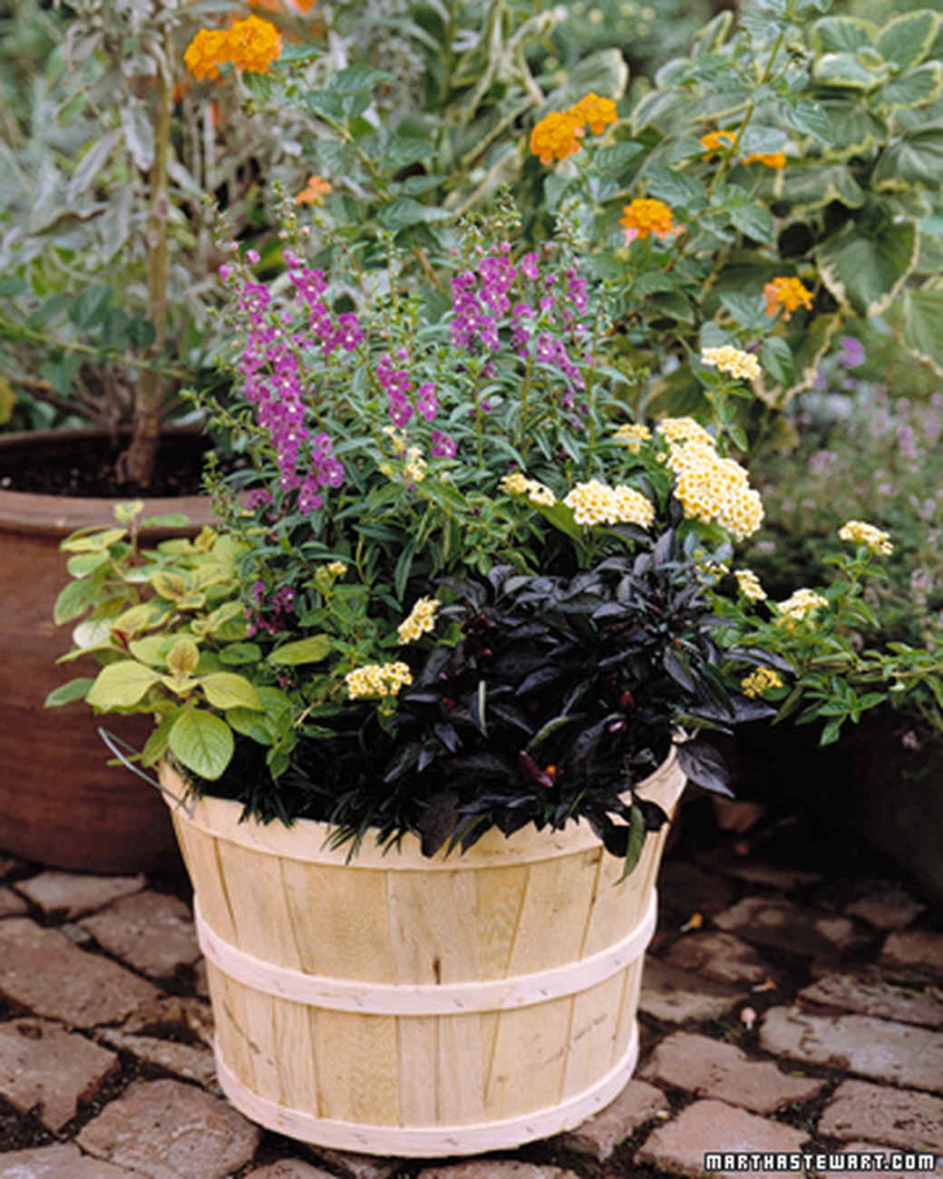 60 Great Ideas for the Garden | Martha Stewart