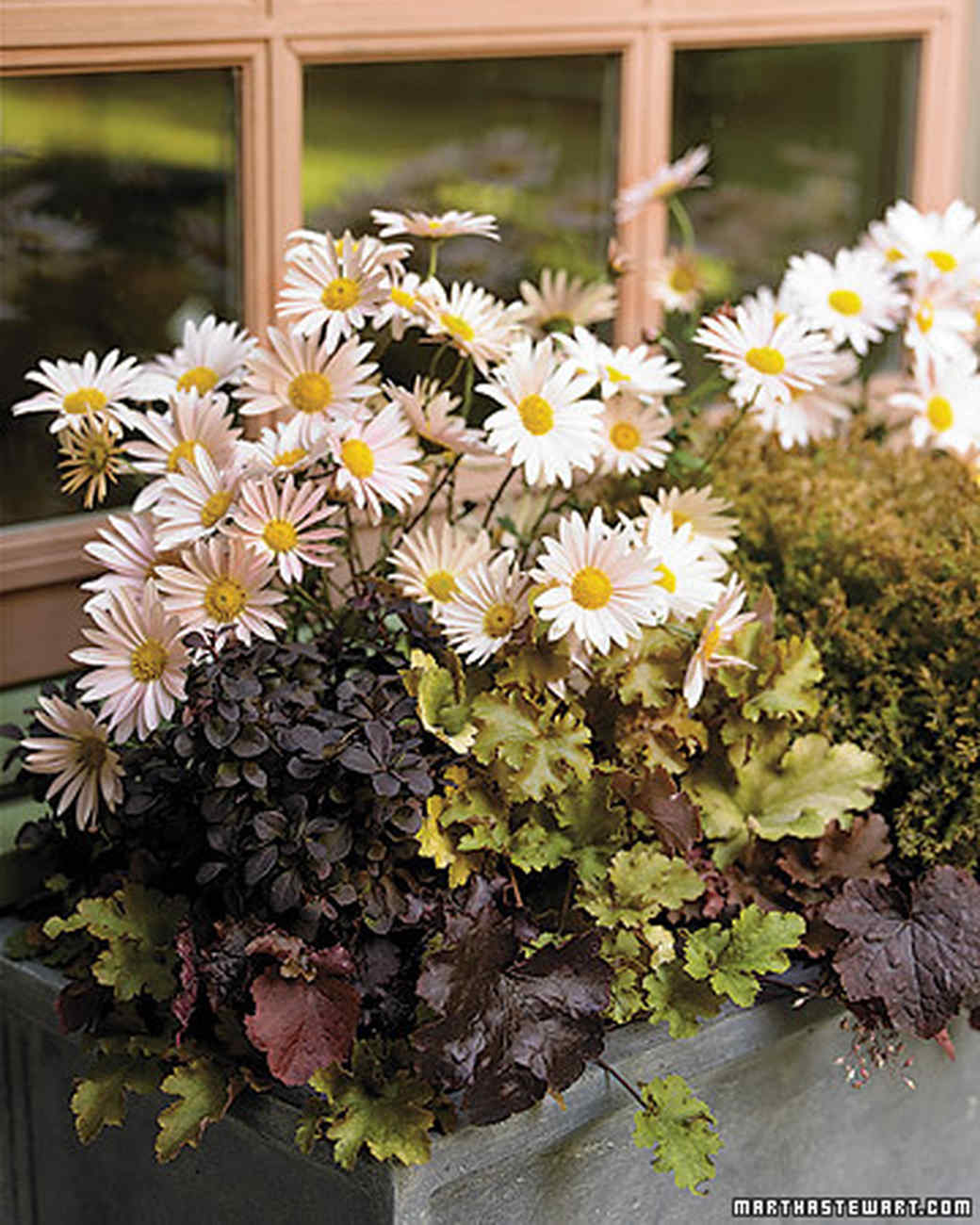 Autumnal Container Gardens Martha Stewart