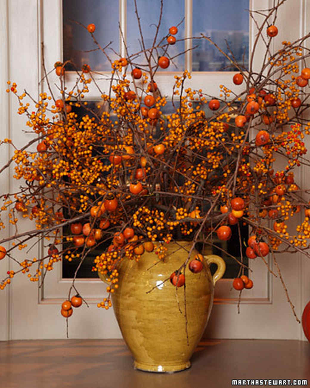 Download Orange Flower Arrangements | Martha Stewart