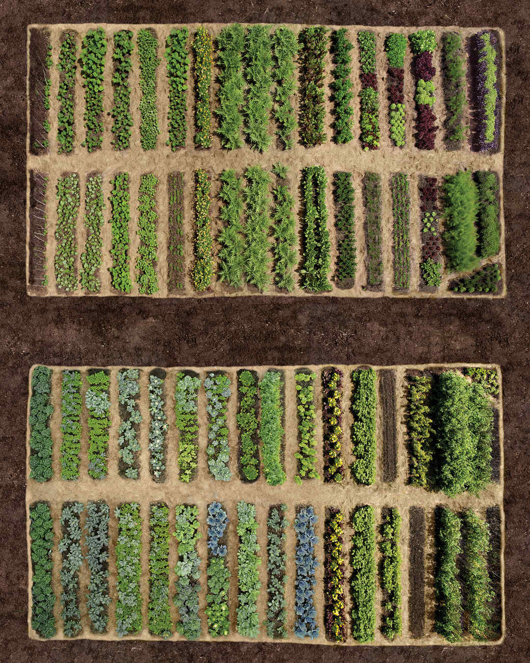 Planning Your Vegetable Garden Martha Stewart