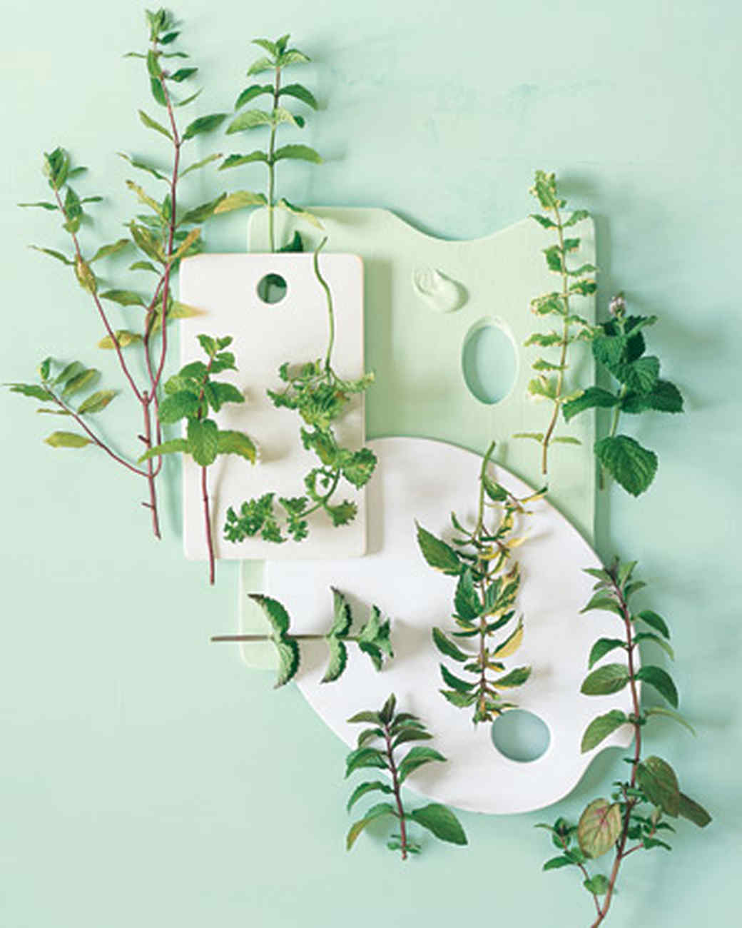 Indoor Herb Garden Tricks for the Most Lush Windowsill on the Block