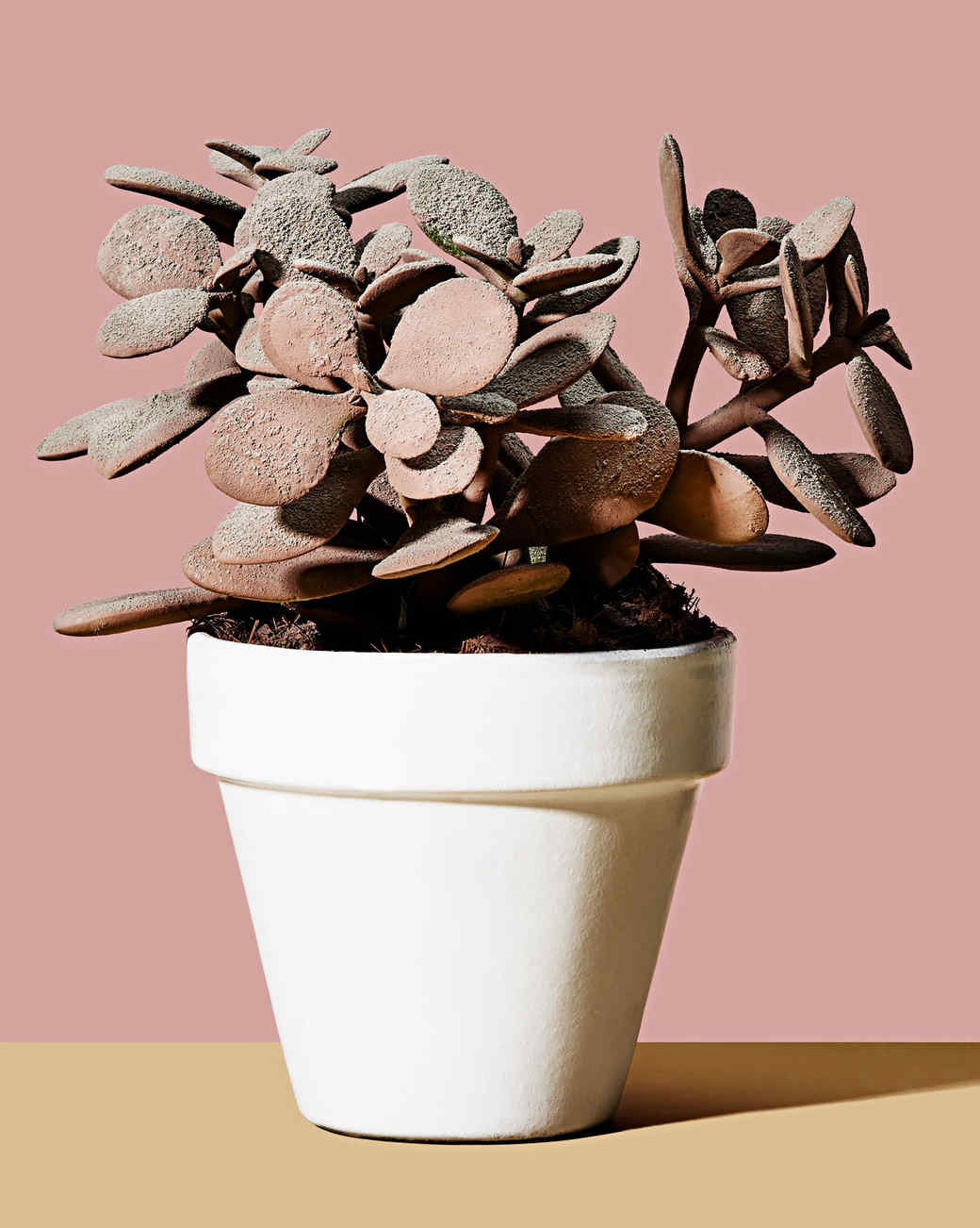 How to Clean Dust Properly (Yes, There's a Right Way!) Martha Stewart