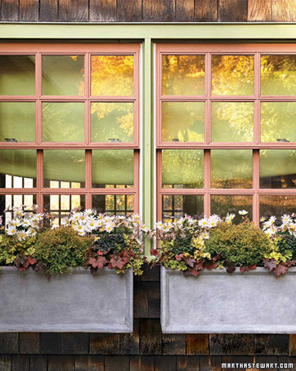 autumnal container gardens martha