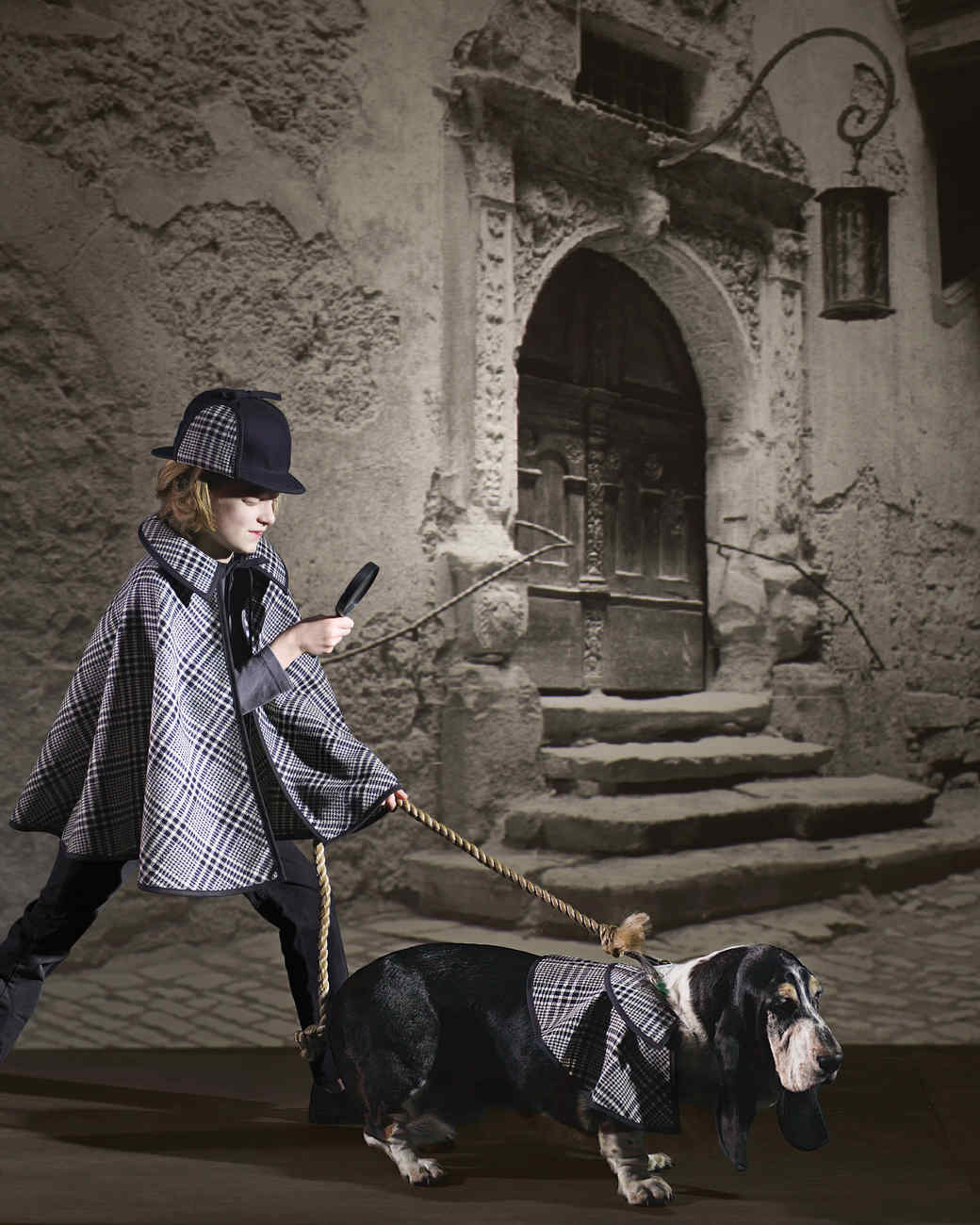 Wallpaper Deerstalker hat for dogs For Android Free