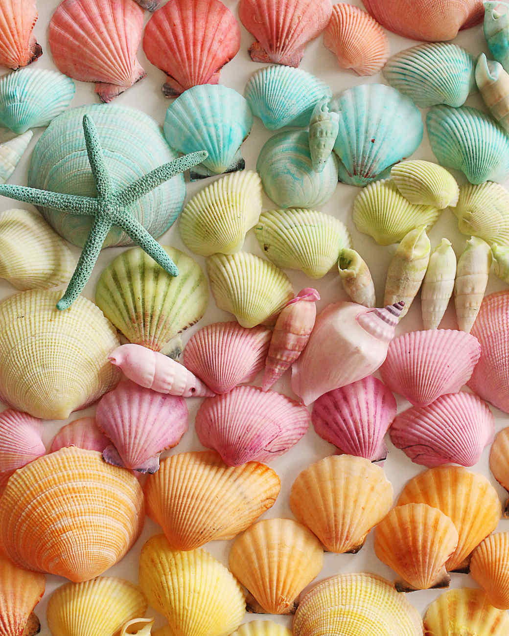 Dyed Seashells Martha Stewart