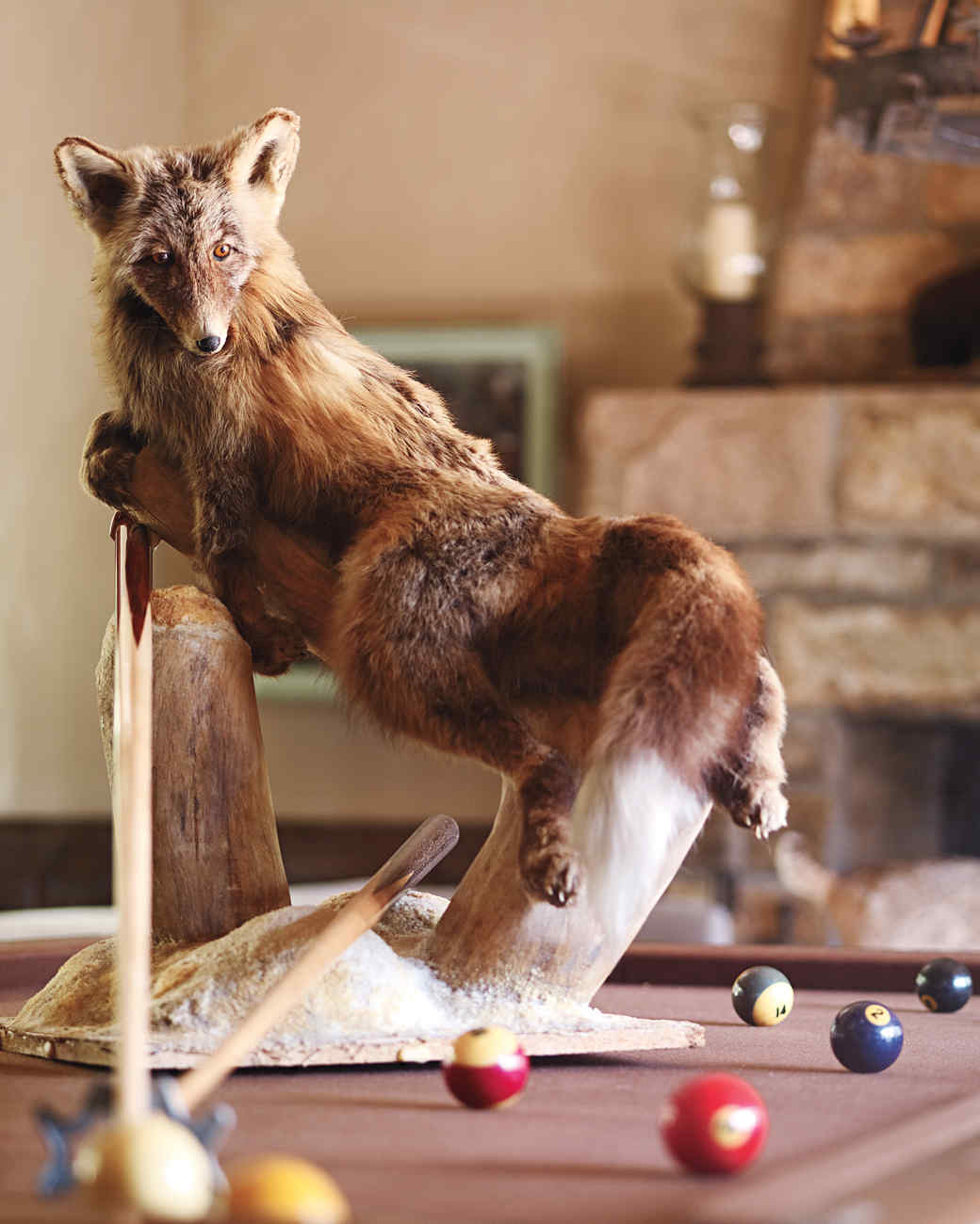 From My Home to Yours Taxidermy Martha Stewart