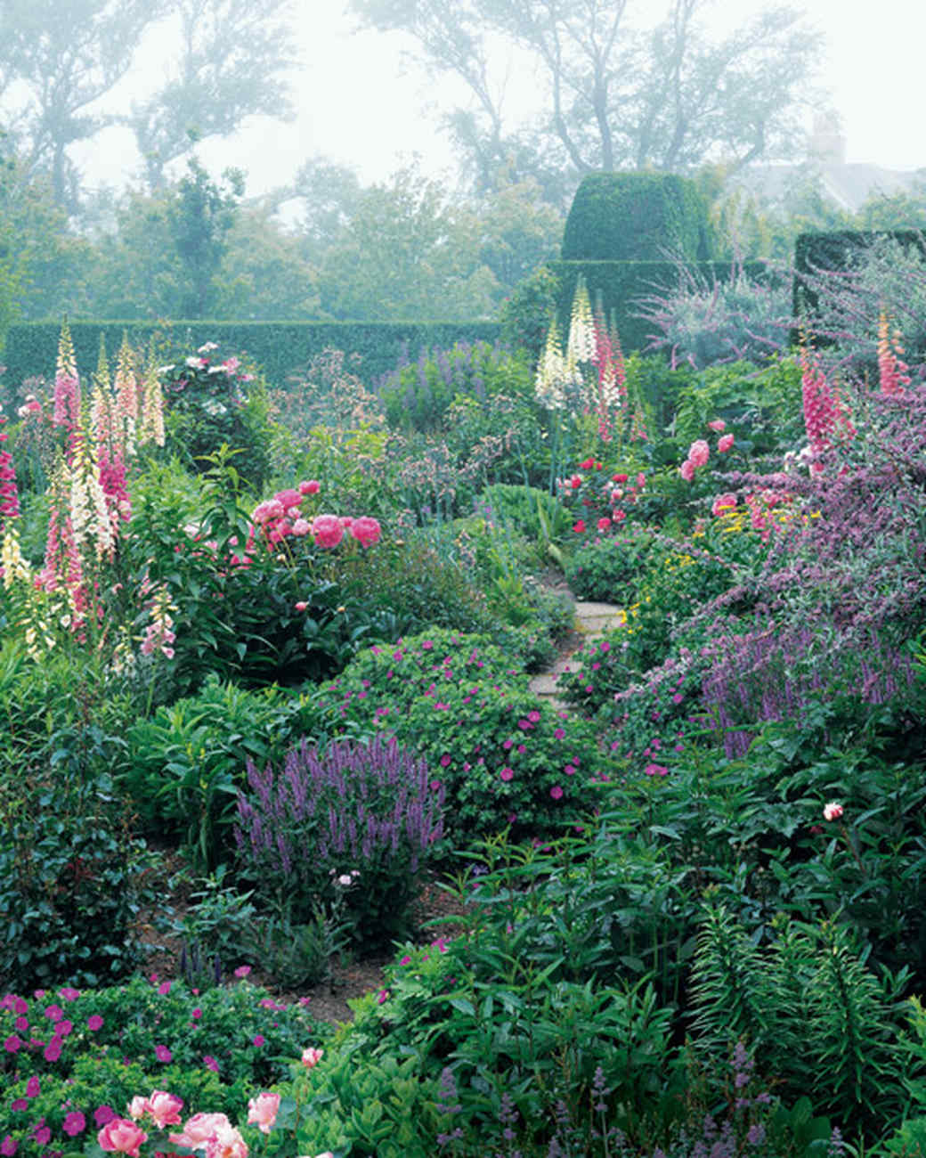 Full-Sun Spring Perennials for a Strikingly Gorgeous Garden | Martha ...