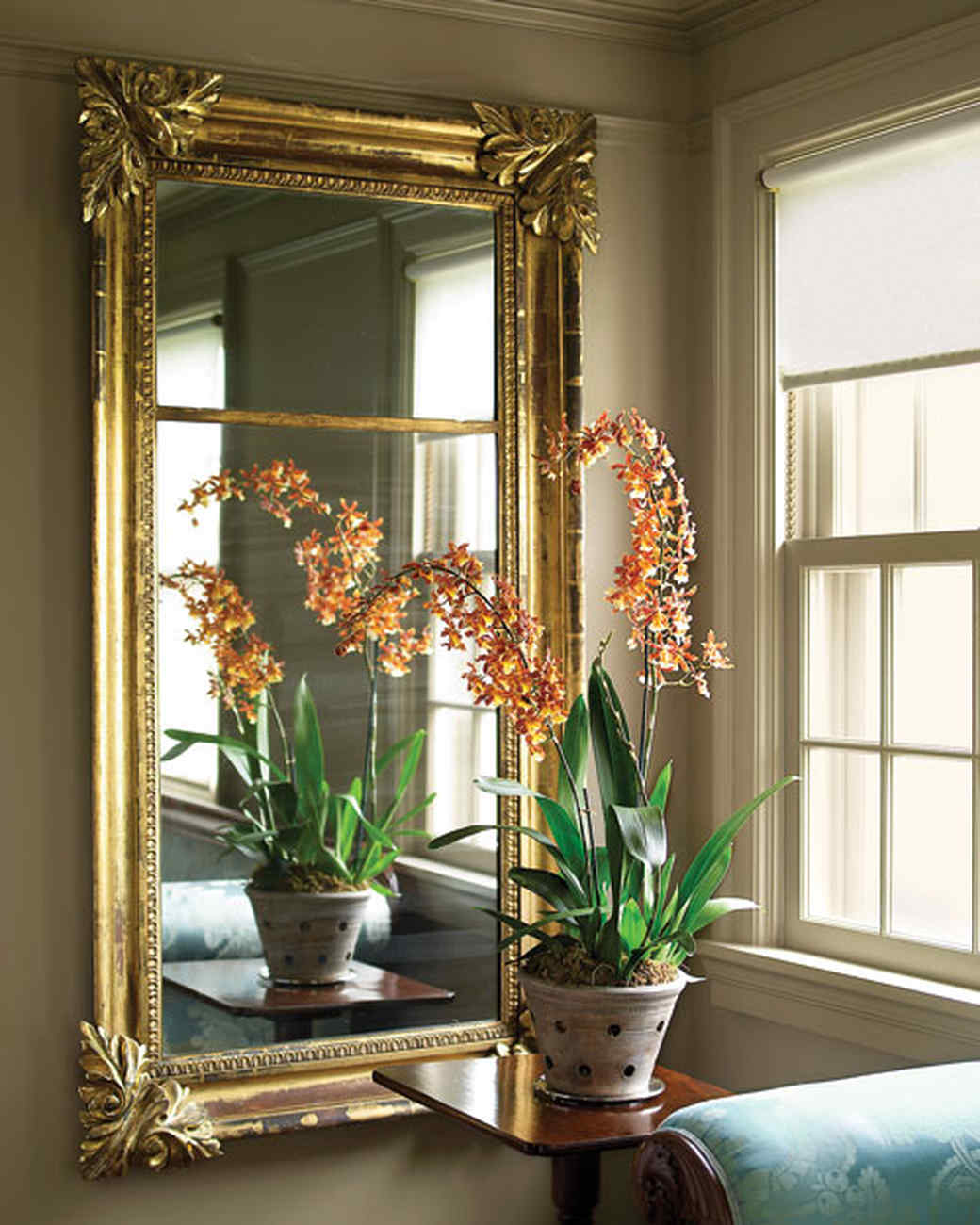 Martha s Home Decorating with Houseplants Martha Stewart