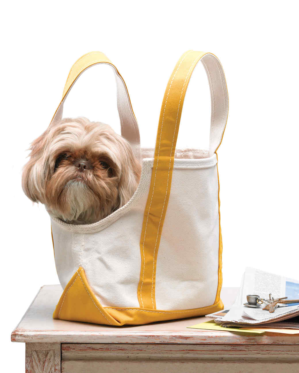 Canvas Tote Doggie Bag Martha Canvas Tote Doggie Bag