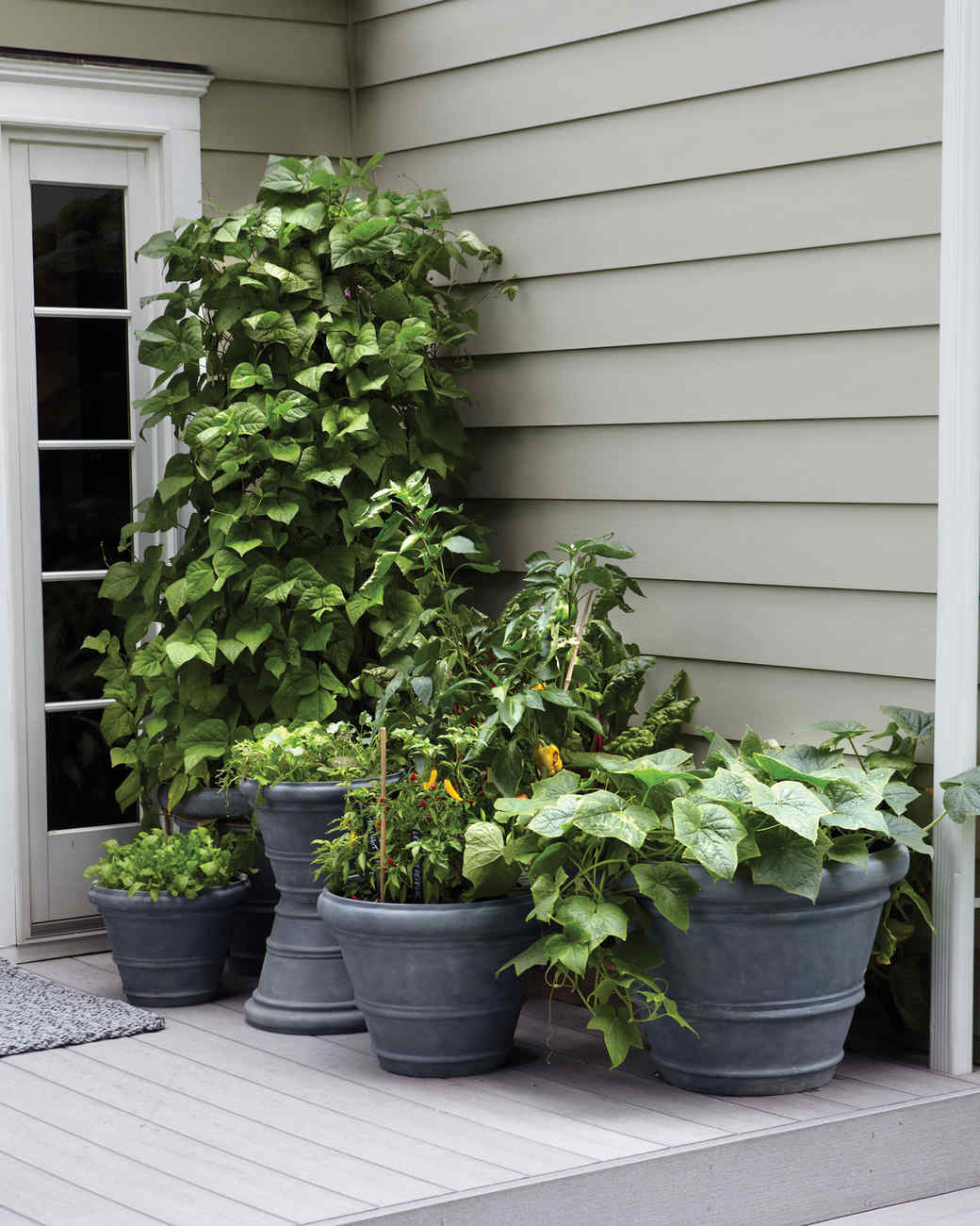 Small-Space Garden Ideas | Martha Stewart