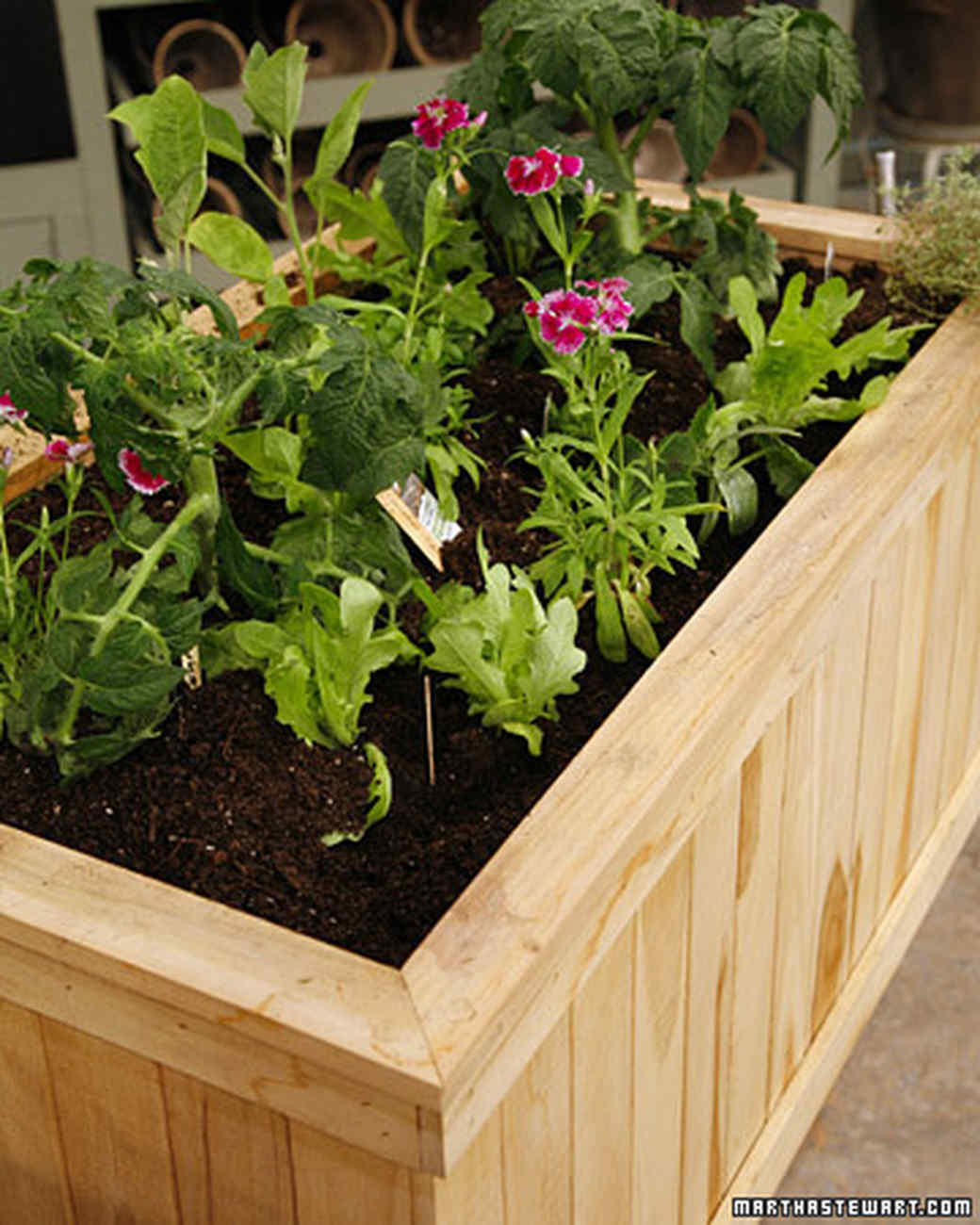 What To Grow In Your Balcony Vegetable Garden Martha Stewart