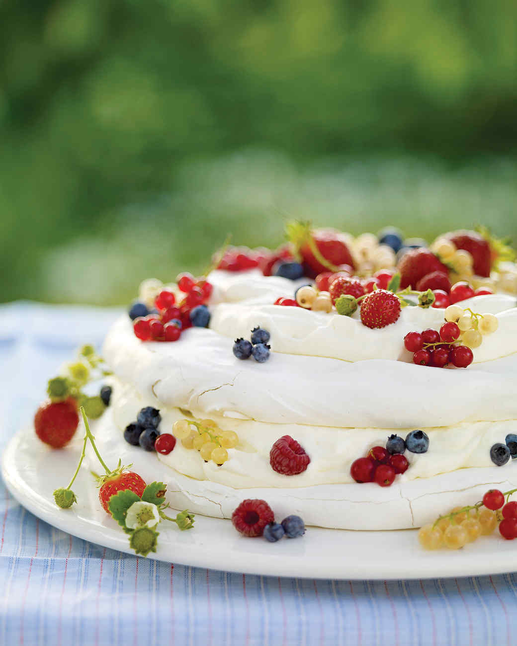 Vacherin with Whipped Cream and Mixed Berries Recipe | Martha Stewart