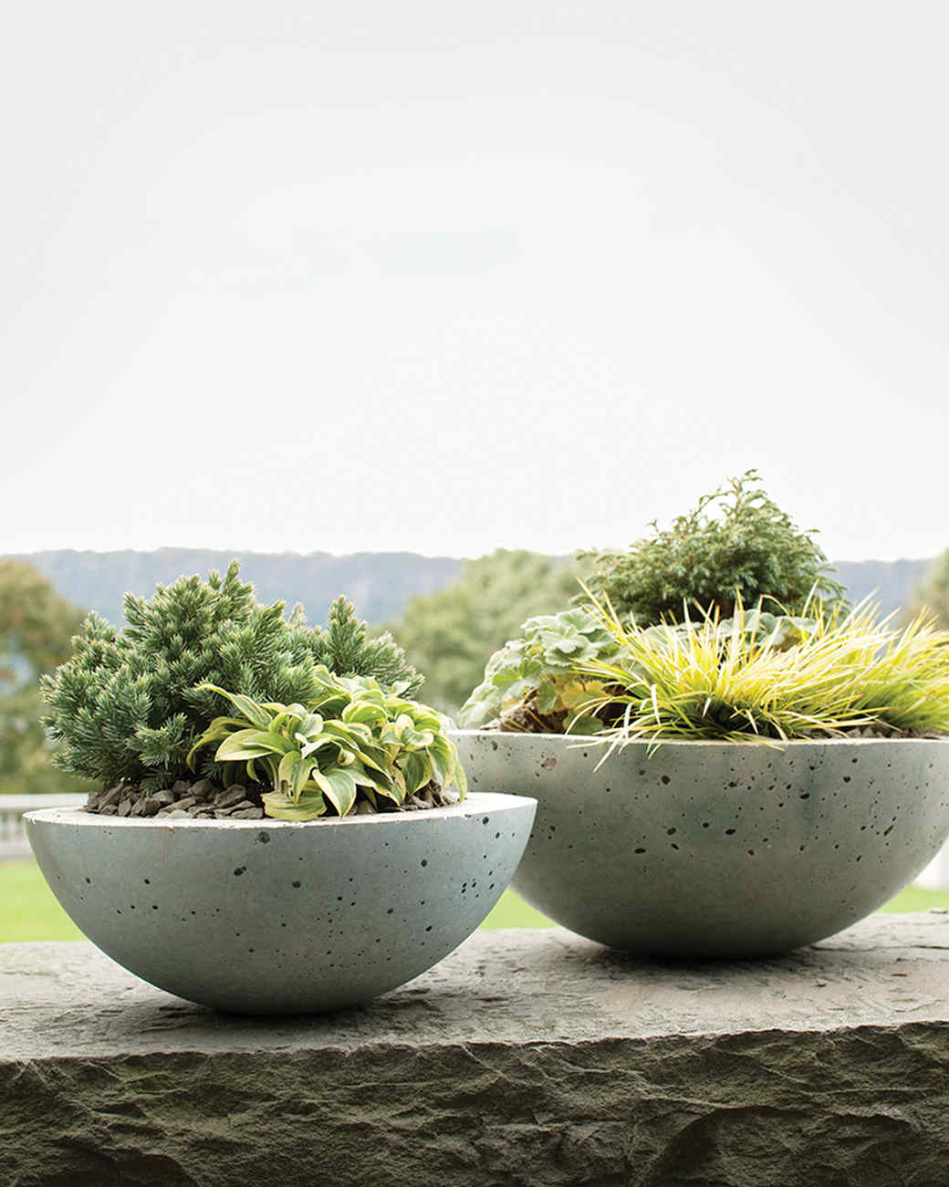 Decorative Flowerpots and Planters Martha Stewart
