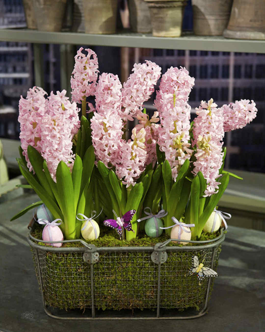 Spring Bulb Arrangement Video Martha Stewart