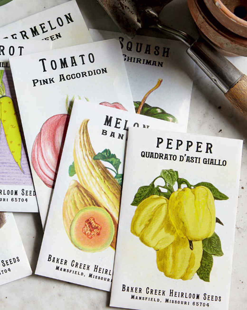 Everything You Need to Know About Seed Starting Martha Stewart
