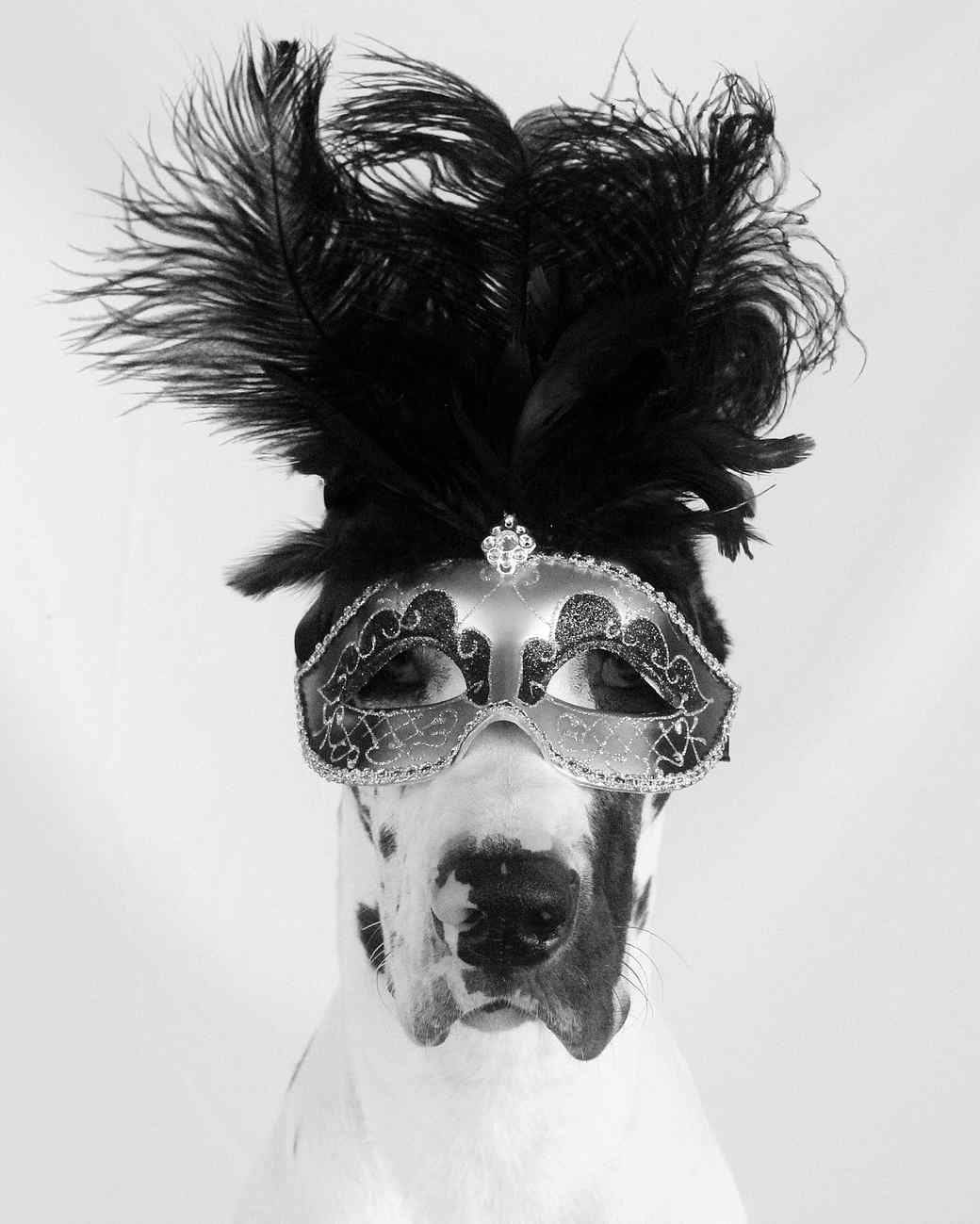 most avant garde