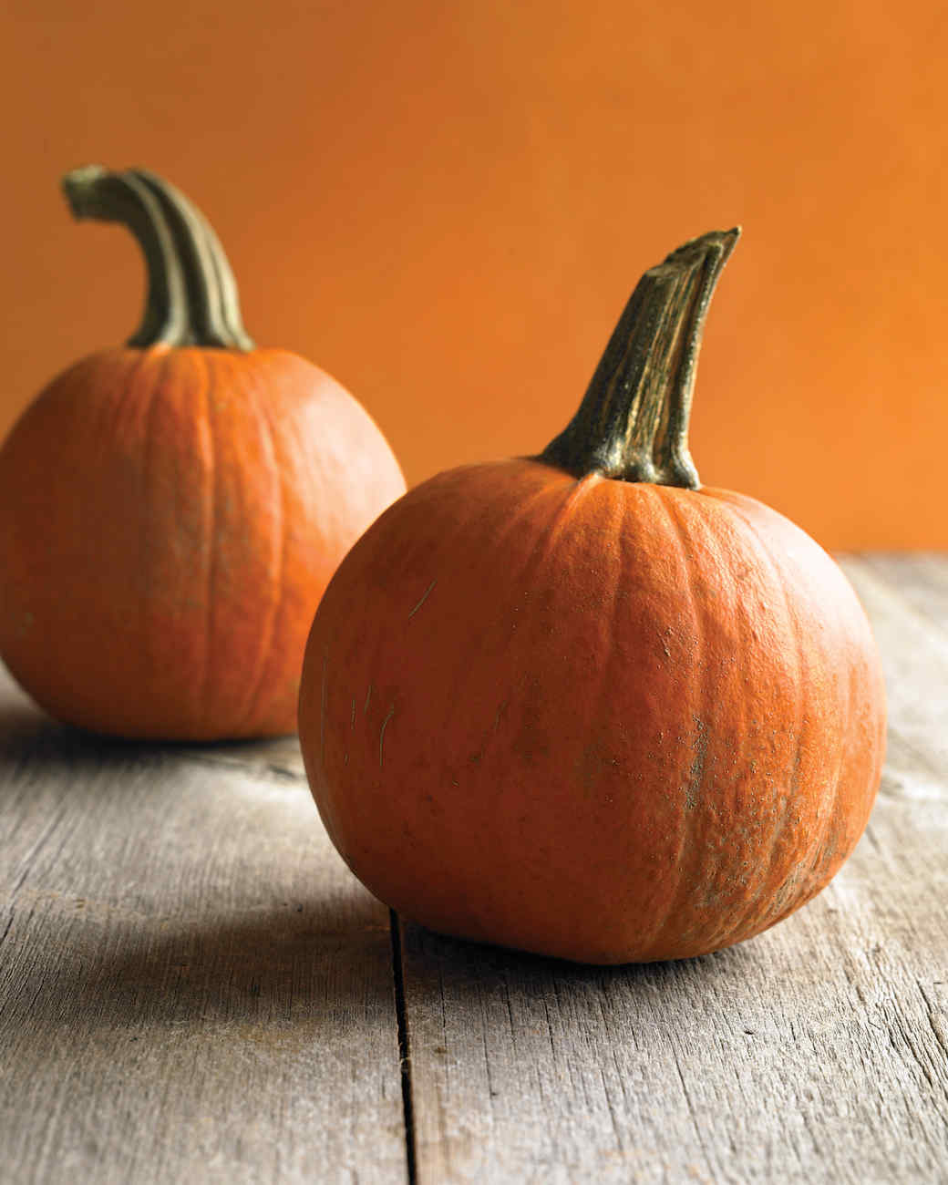 pumpkin recipes martha stewart