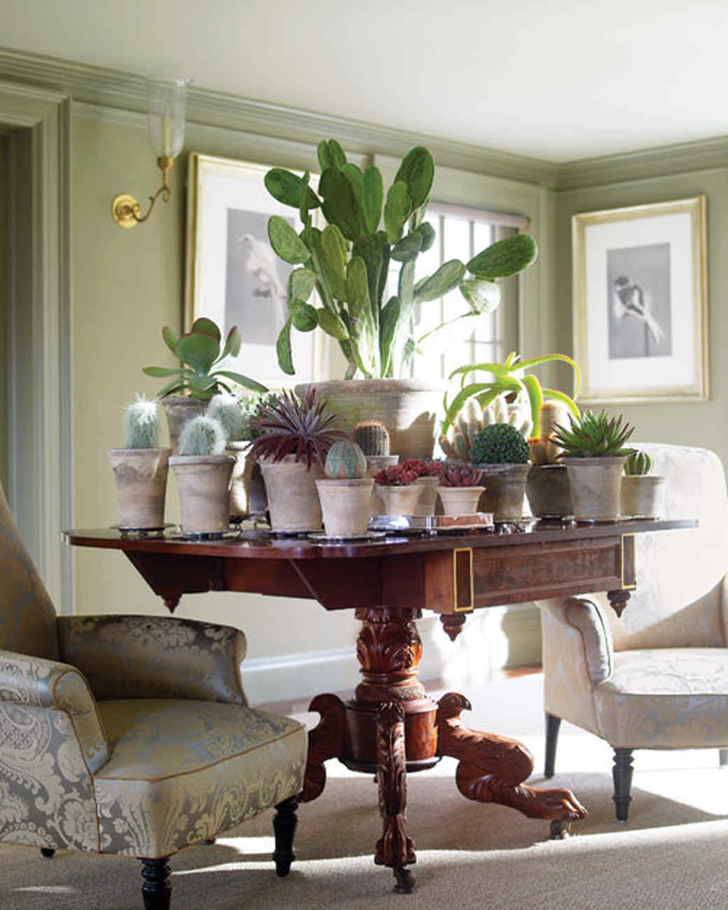 Martha s Home Decorating with Houseplants Martha Stewart Martha s Home Decorating with Houseplants Martha Stewart