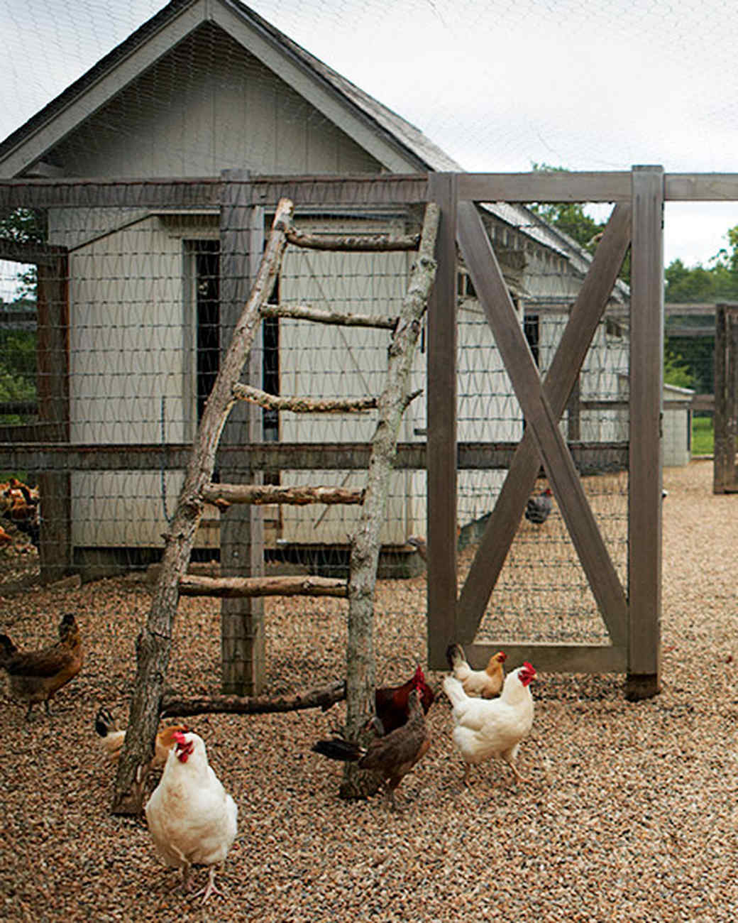 Martha's Barnyard Martha Stewart