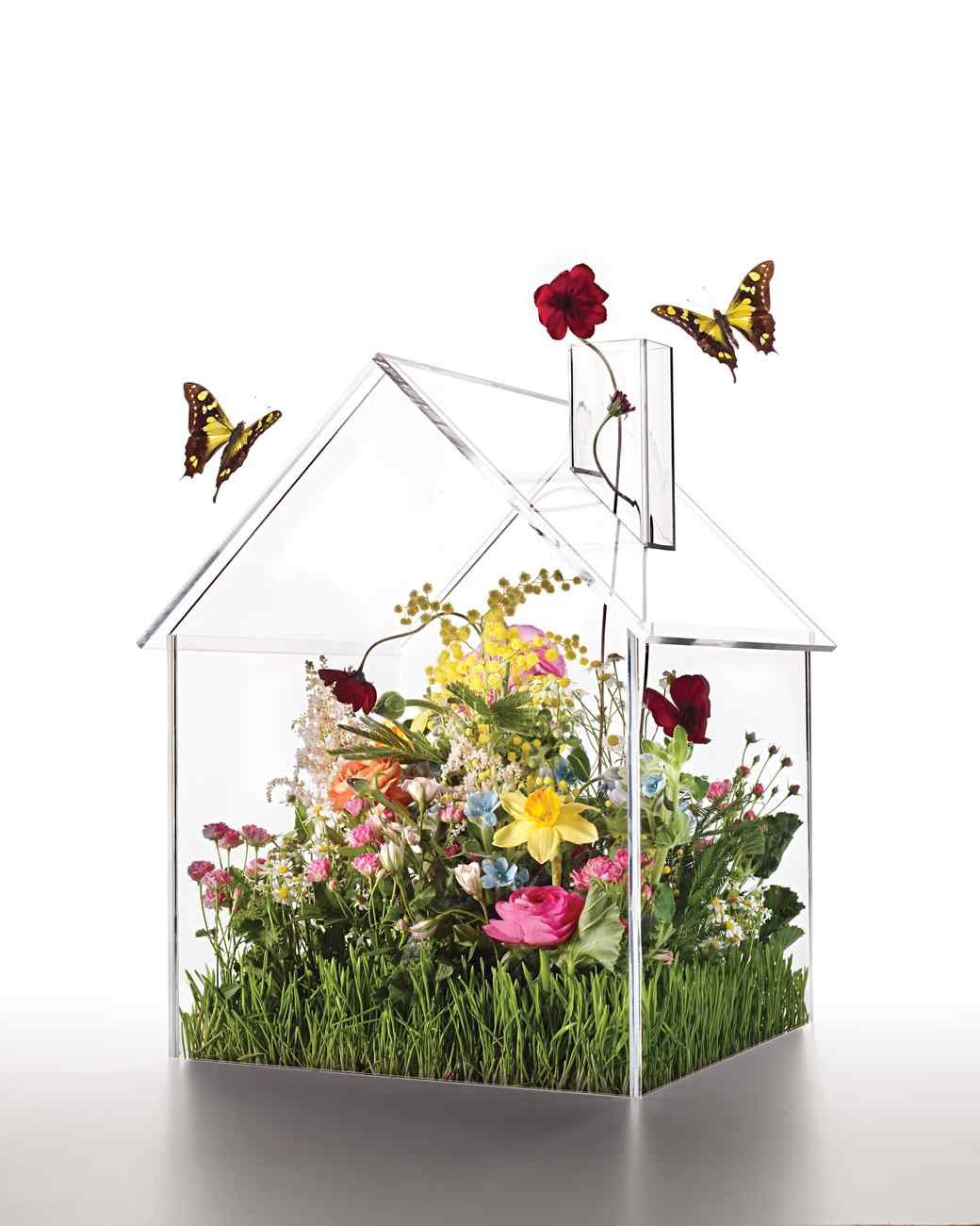 Breathing Easy 10 Ways To Clean The Air In Your Home Martha