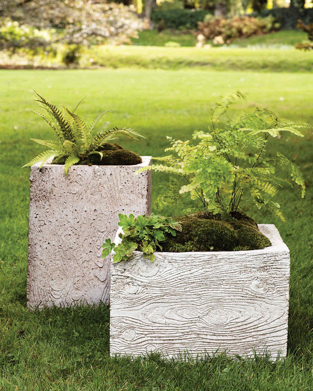 Exquisite Martha Stewart Planting Pots Landscape in HD