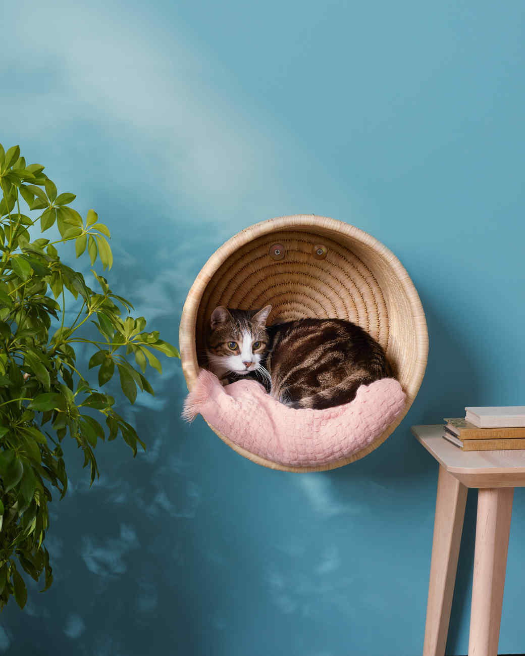 Cat Basket | Martha Stewart