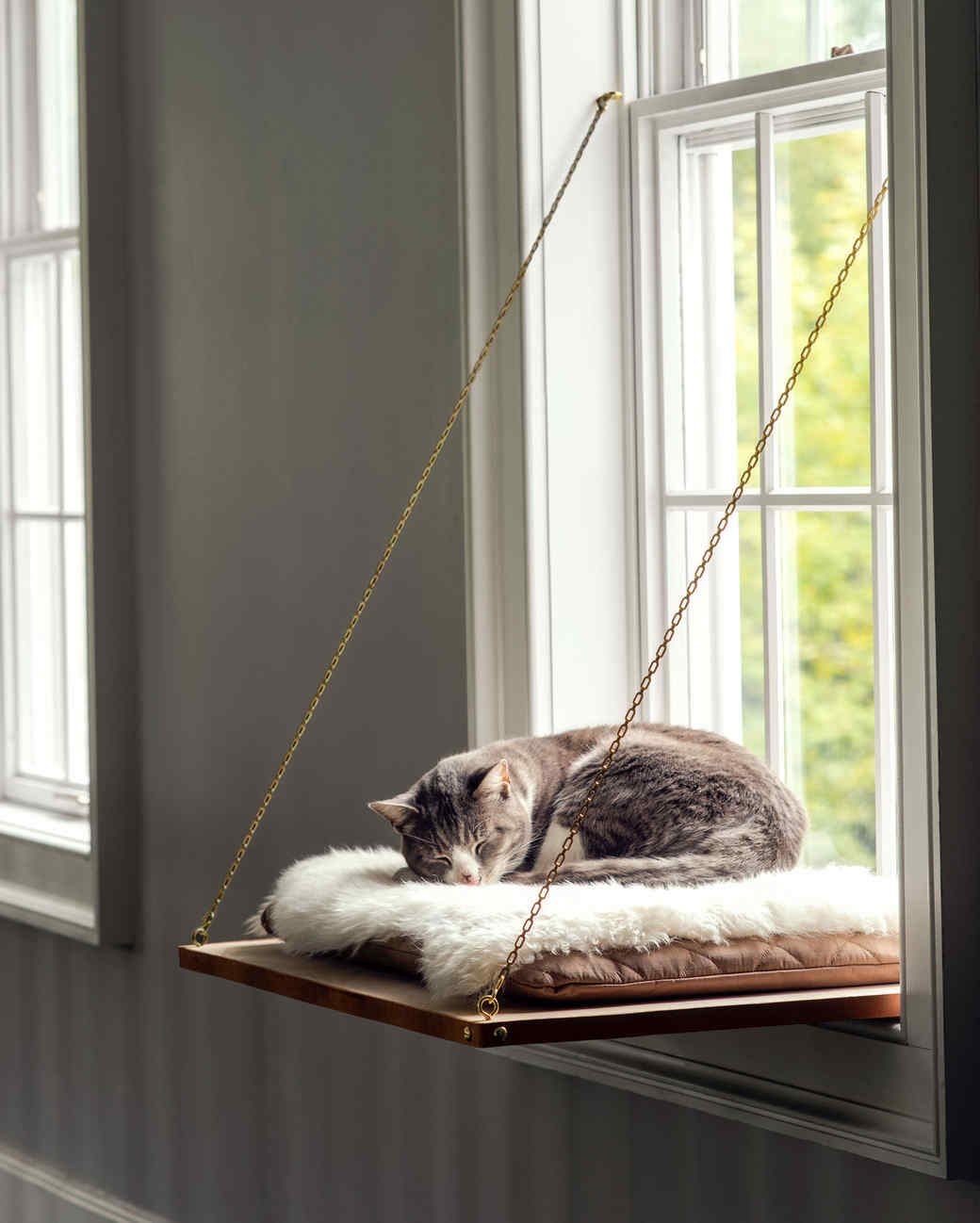 Cat Window Perch | Martha Stewart