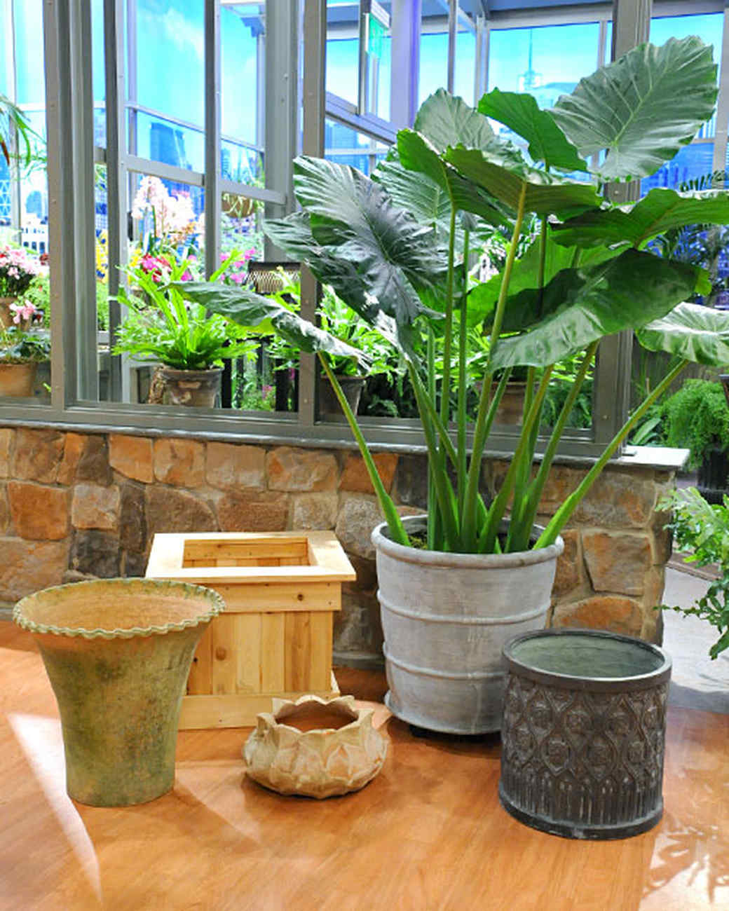 How to Grow a Successful Container Ve able Garden FiberClay Pots