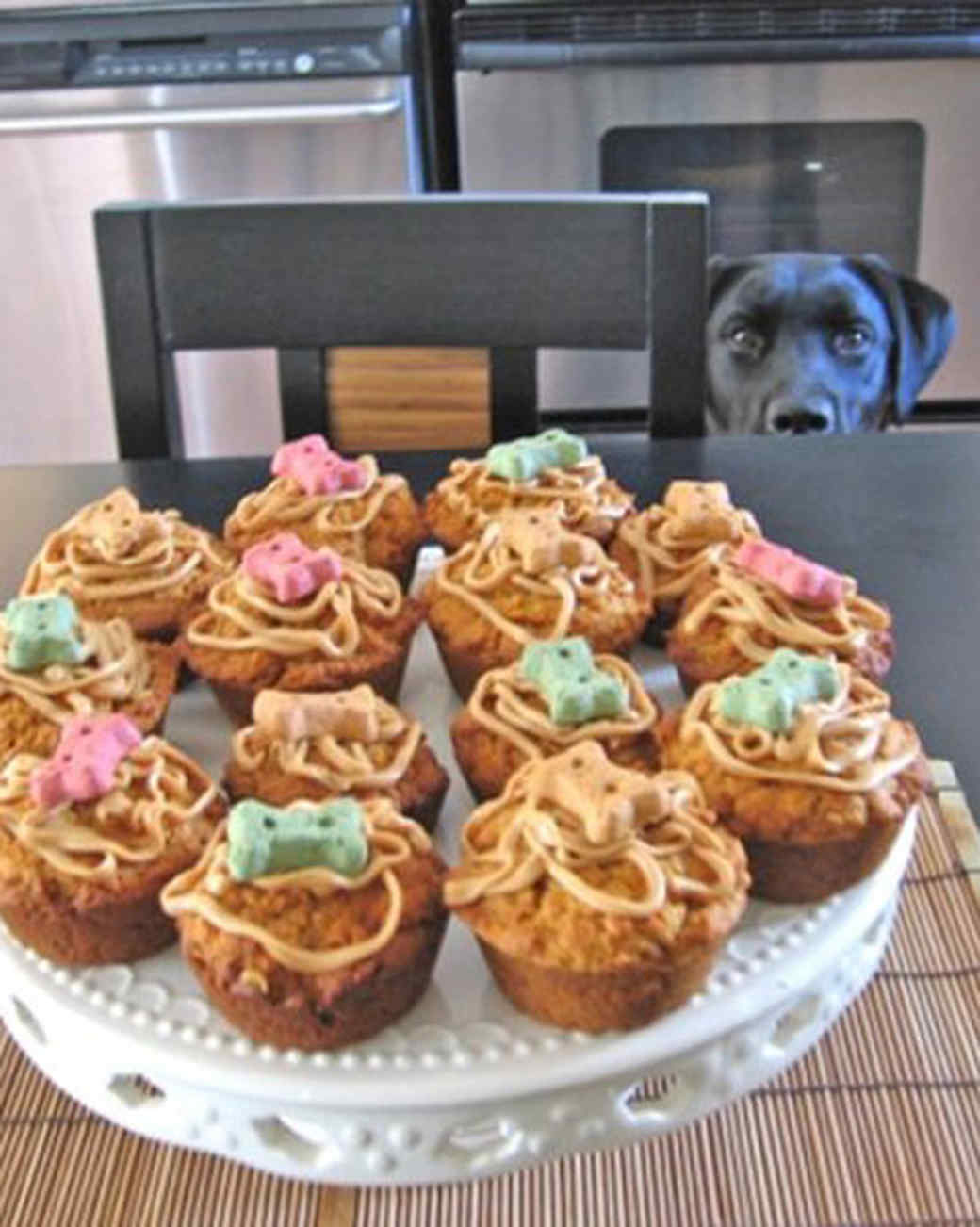 Party Animal Contest Martha Stewart