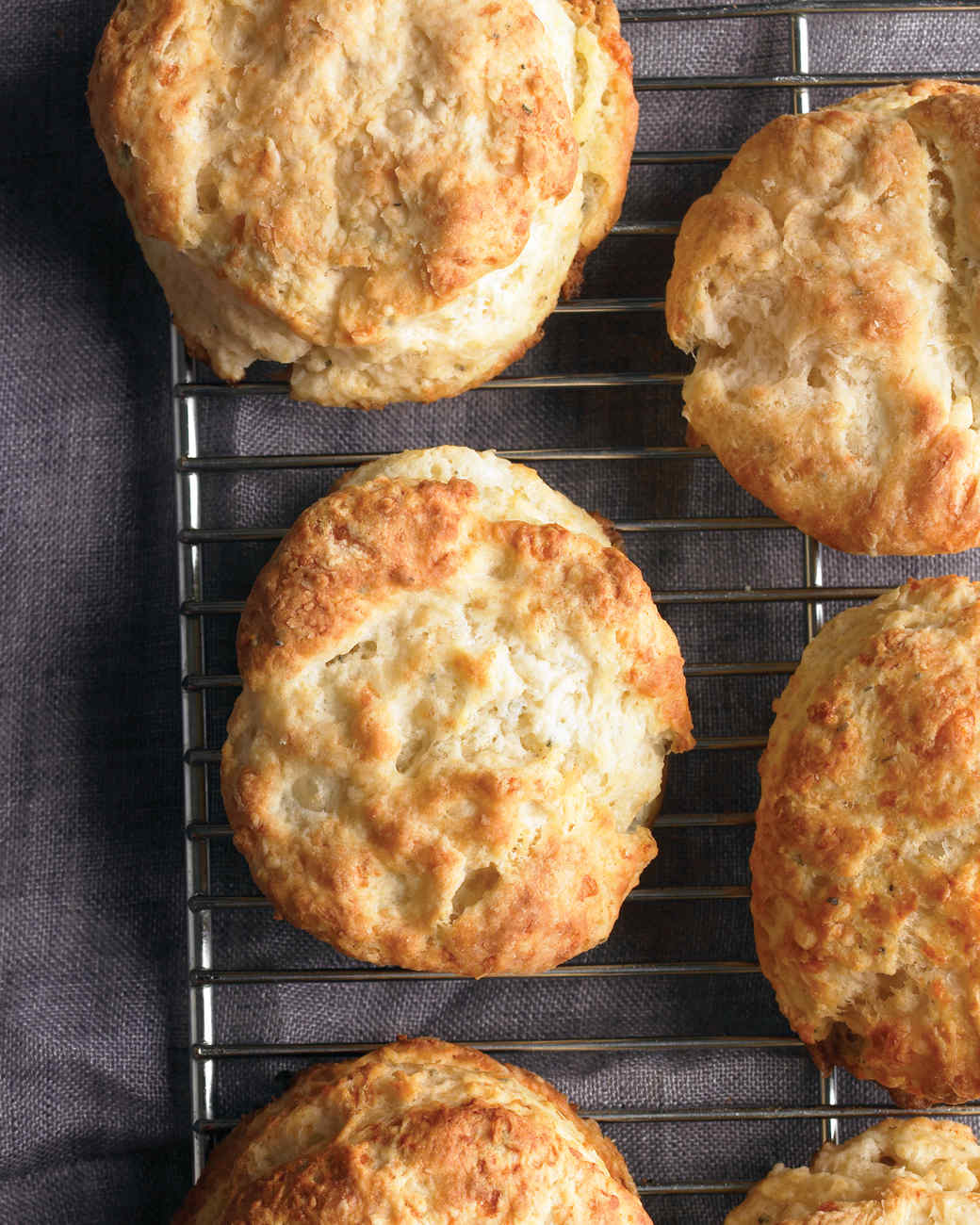 sea biscuit sea biscuit