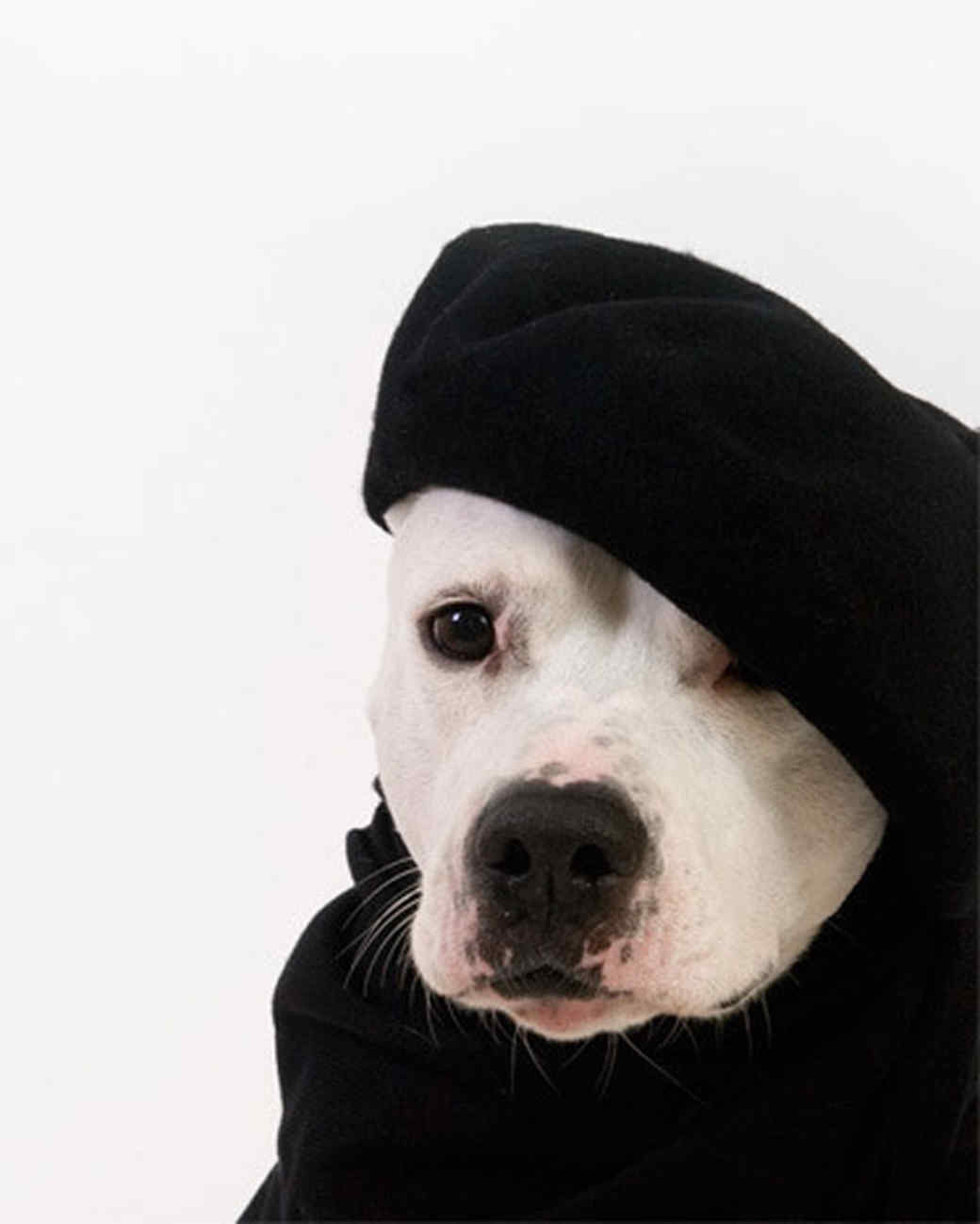 Dog Breed Clothing For Humans Rldm