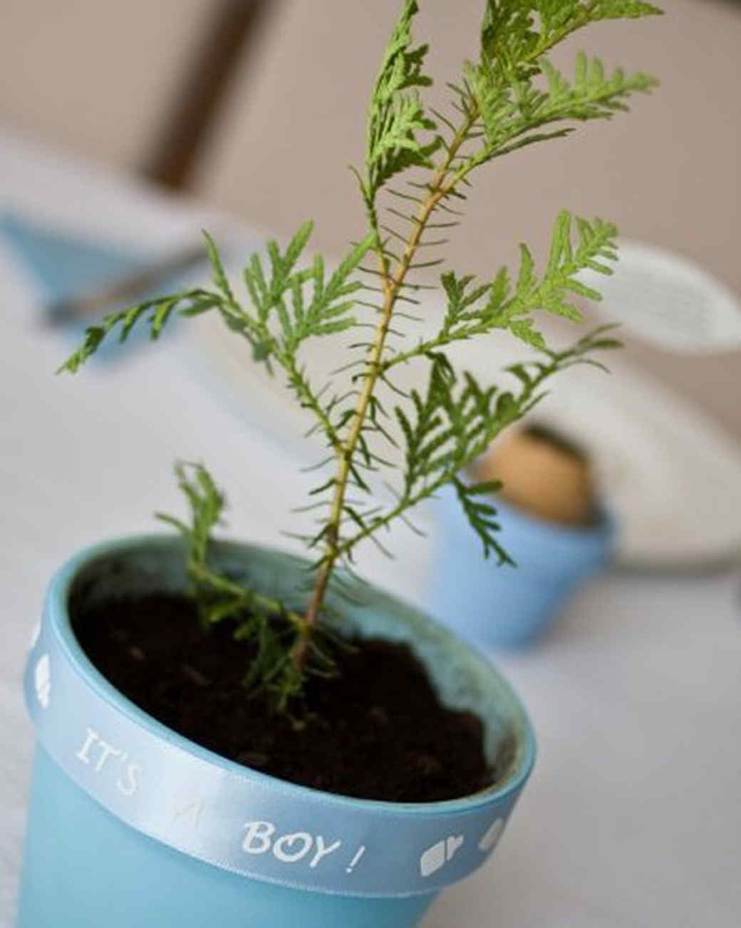 Your Best Baby Shower Themes And Favors Martha Stewart