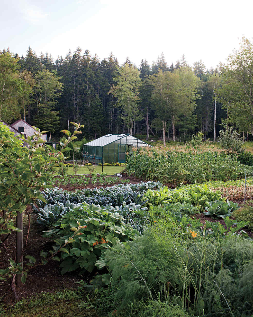  Four  Seasons  Organic Farm Martha Stewart