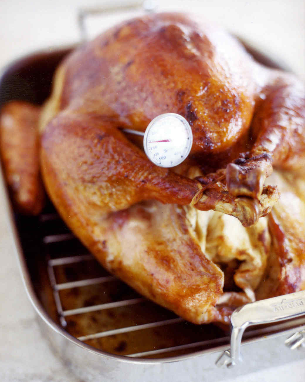 how-to-brine-a-turkey-martha-stewart