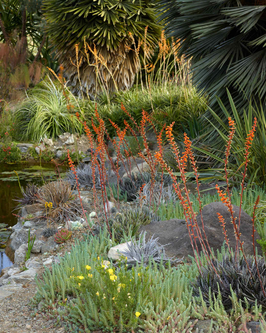 The Bold Dry Garden: Inside One of the Most Spectacular Succulent ...