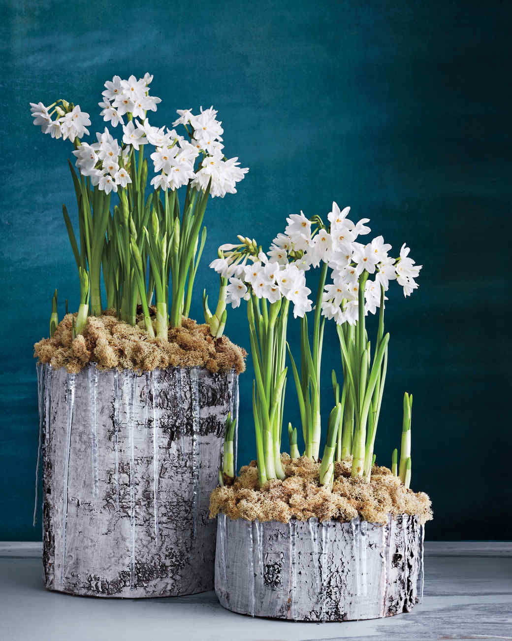 Inspirasi Populer 25+ Paperwhites