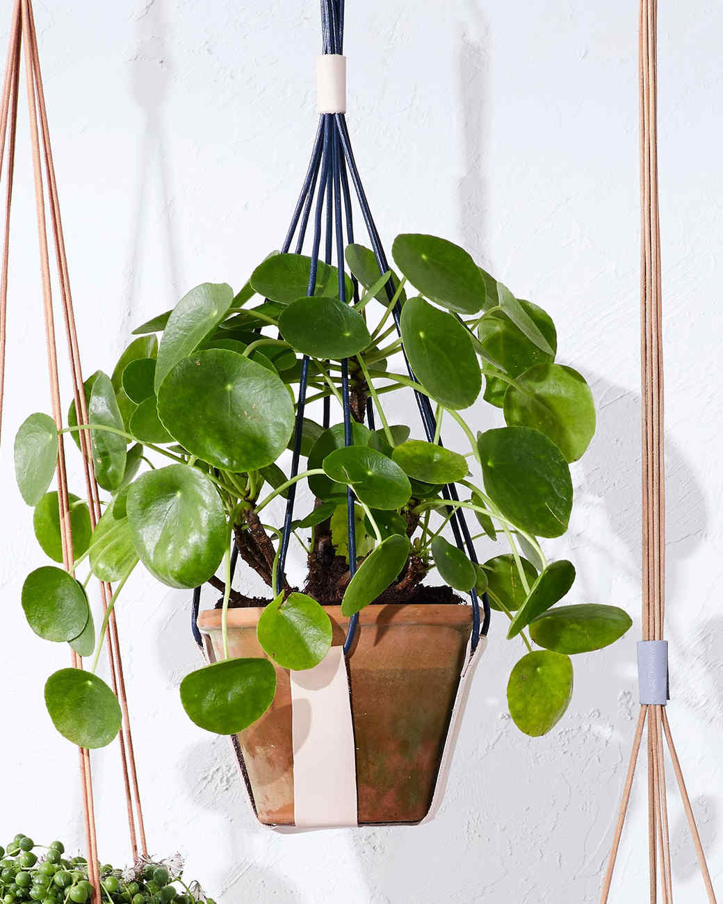 Strapped Leather Plant Hanger Martha Stewart