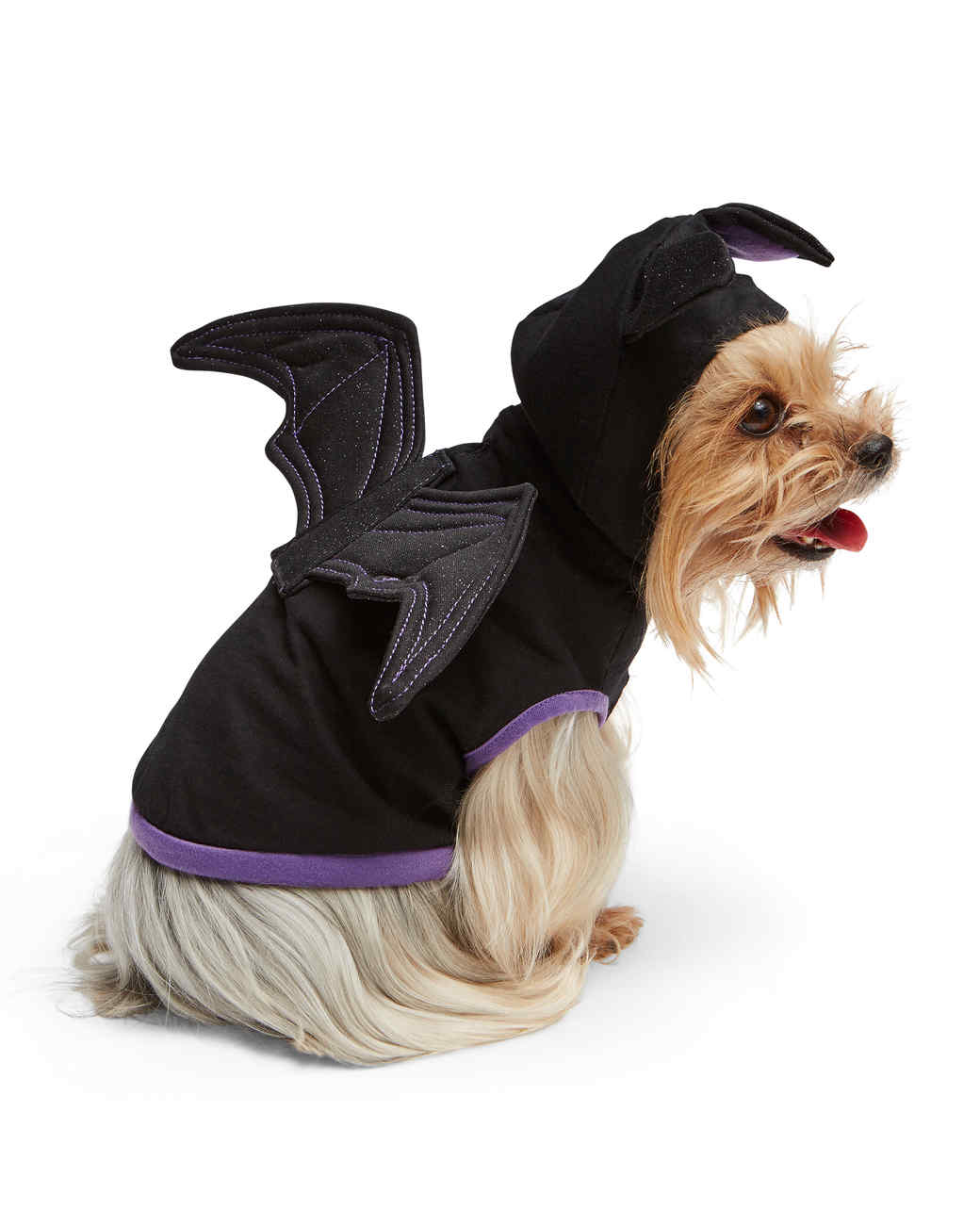 Matching Owner and Dog Costumes for a Pet-rifyingly Cute Halloween ...