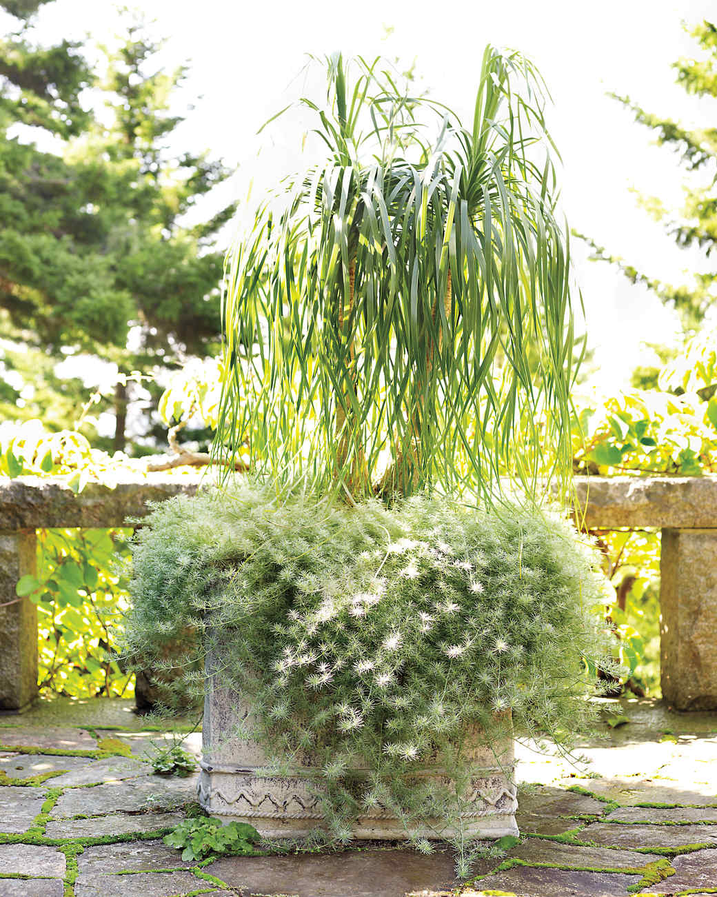 Martha s Skylands Home in Maine Tour the Gardens container gardens skylands maine 09 d vert