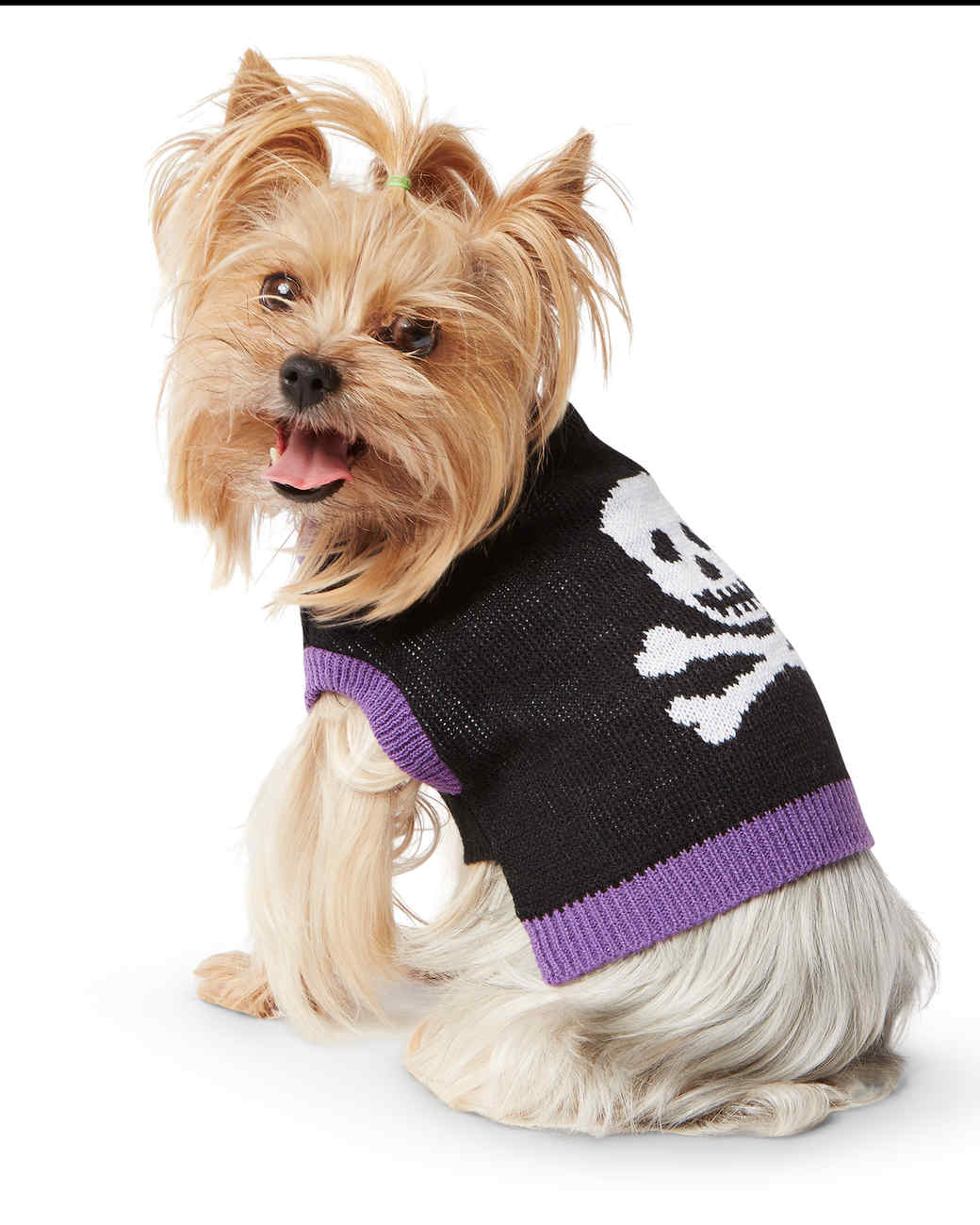 Skull Cat Martha Stewart Pets Skull Cat Martha Stewart Pets
