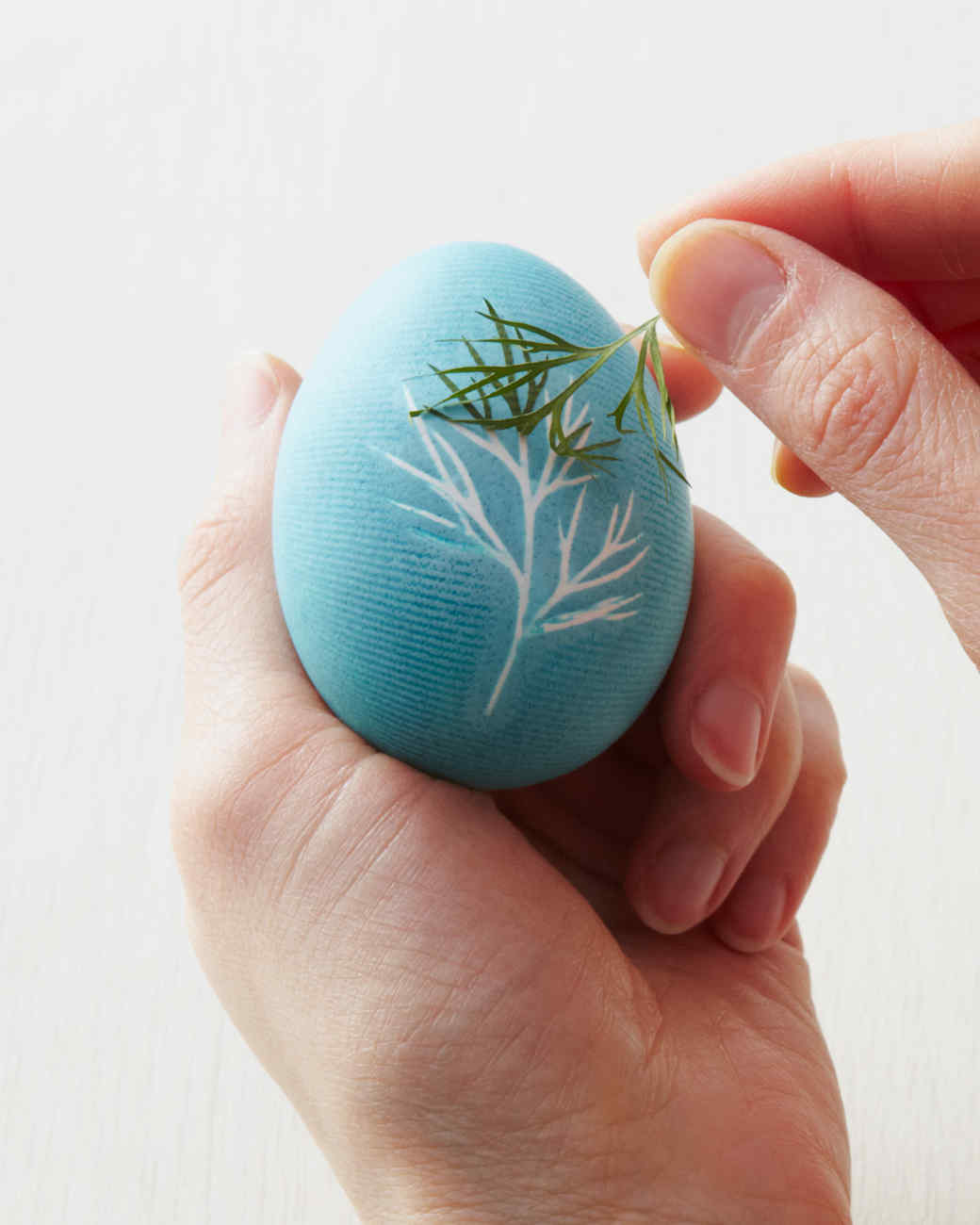 easter-egg-dyeing-101-martha-stewart