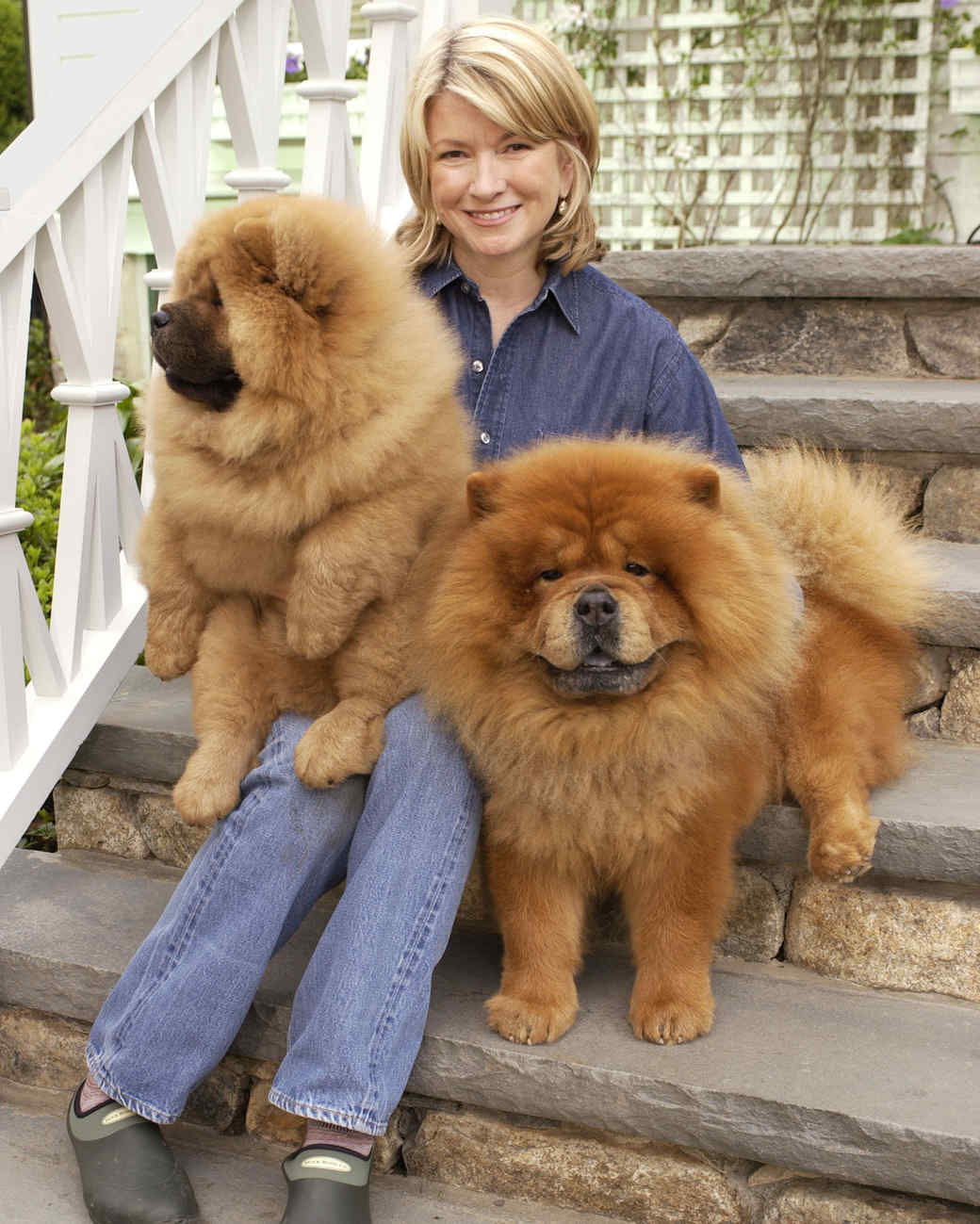 martha-stewart-s-pets-over-the-years-martha-stewart